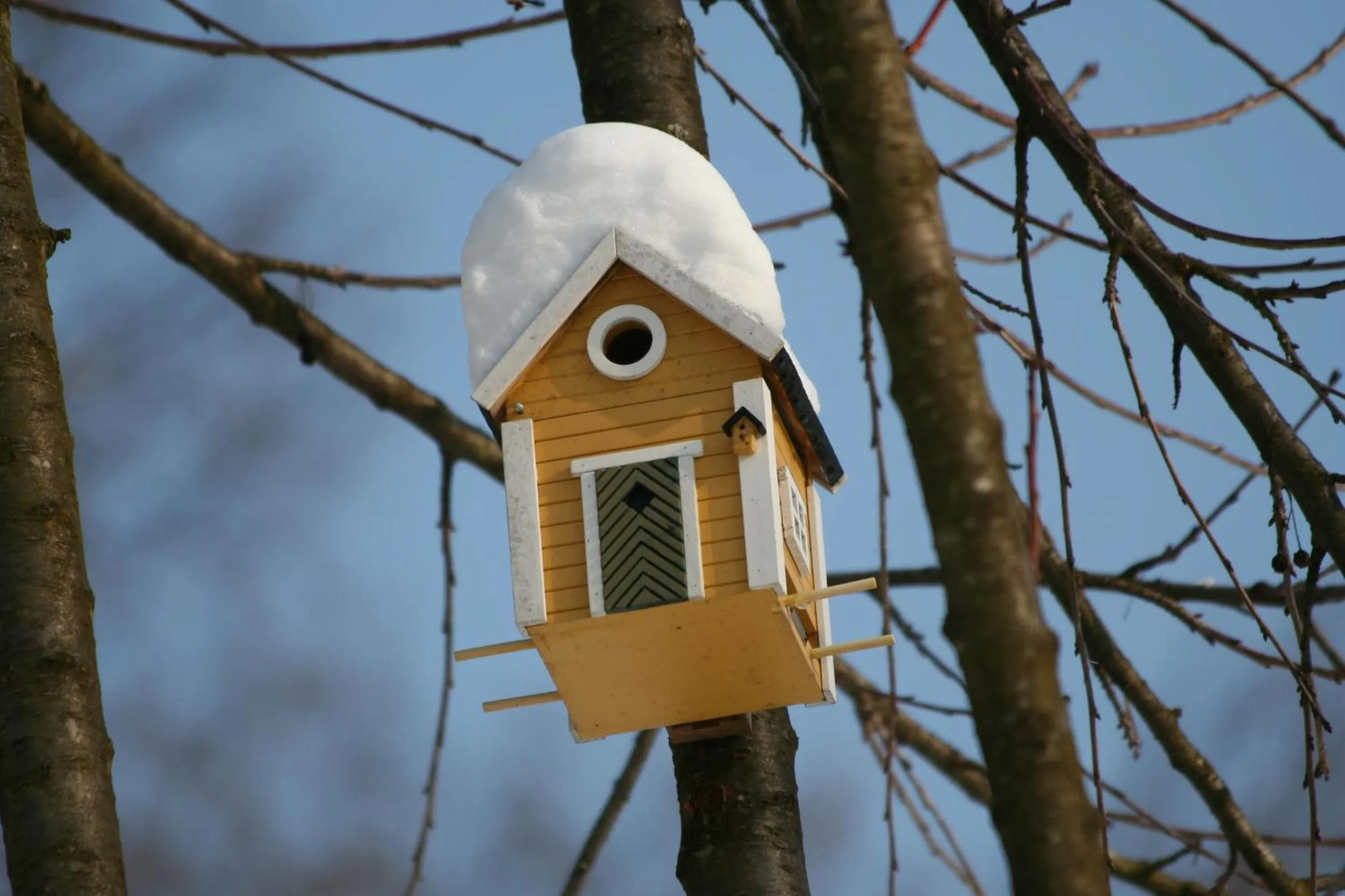 Decorative detail in B&B La Casa Di Campagna
