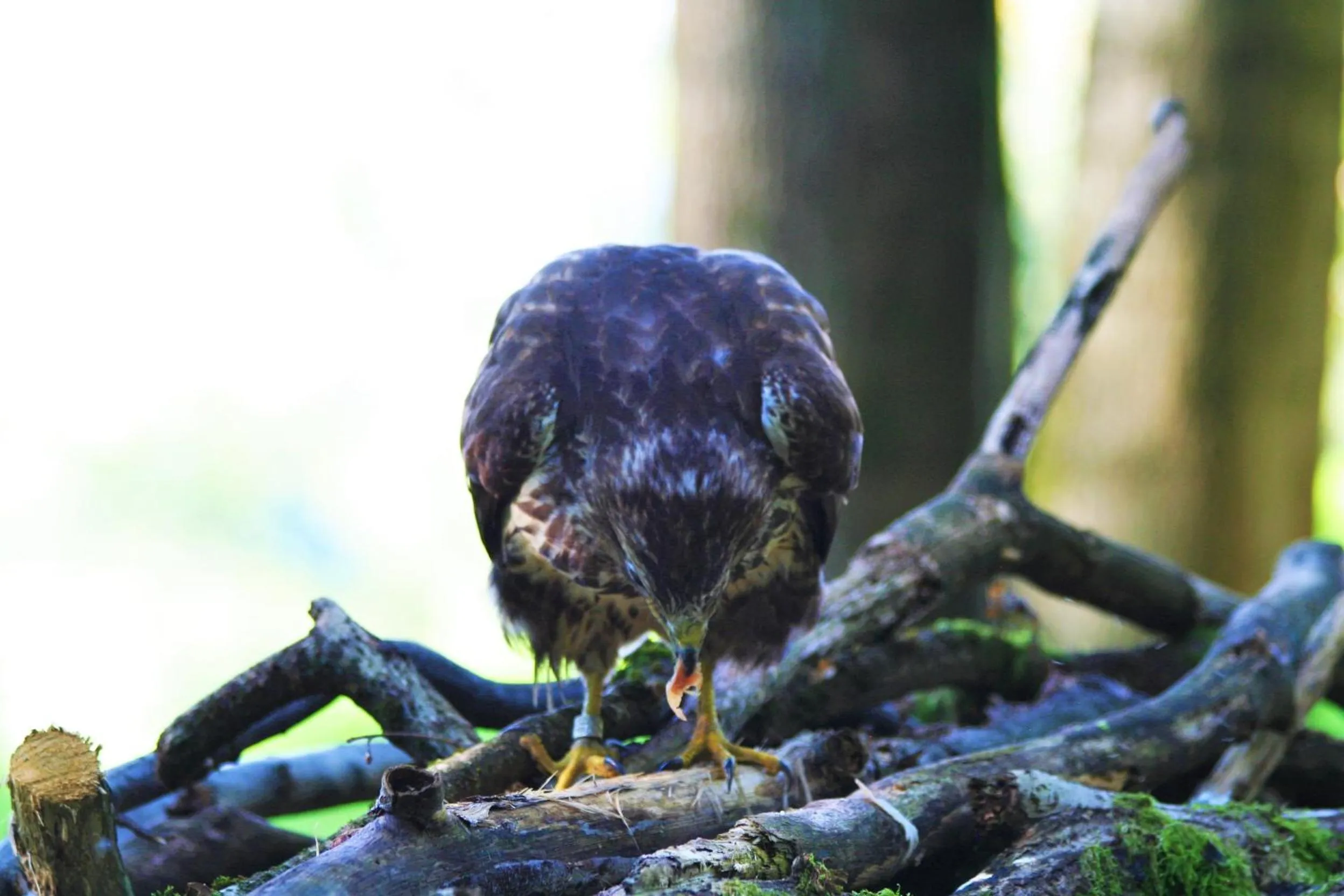 Day in B&B La Casa Di Campagna