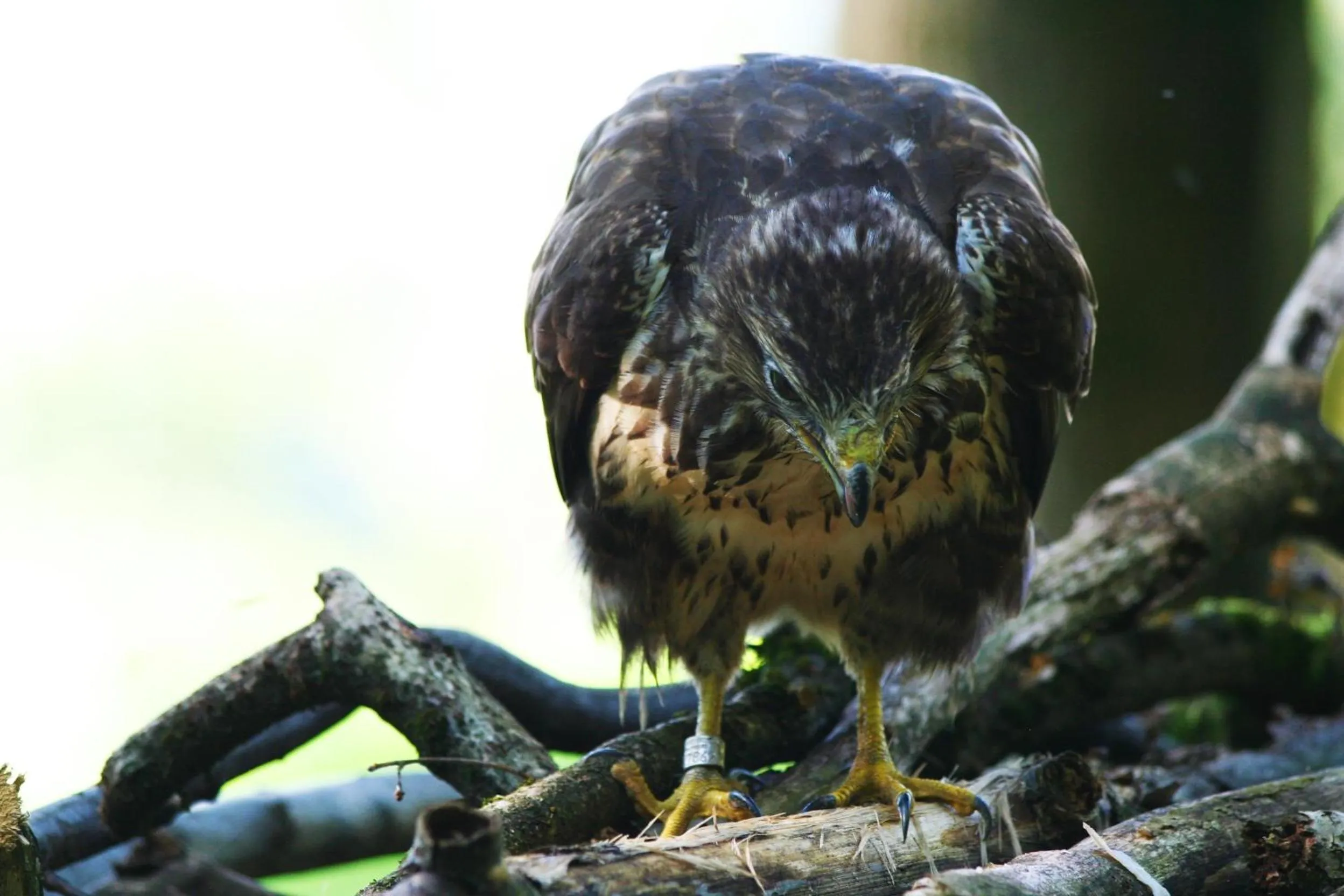 Day in B&B La Casa Di Campagna