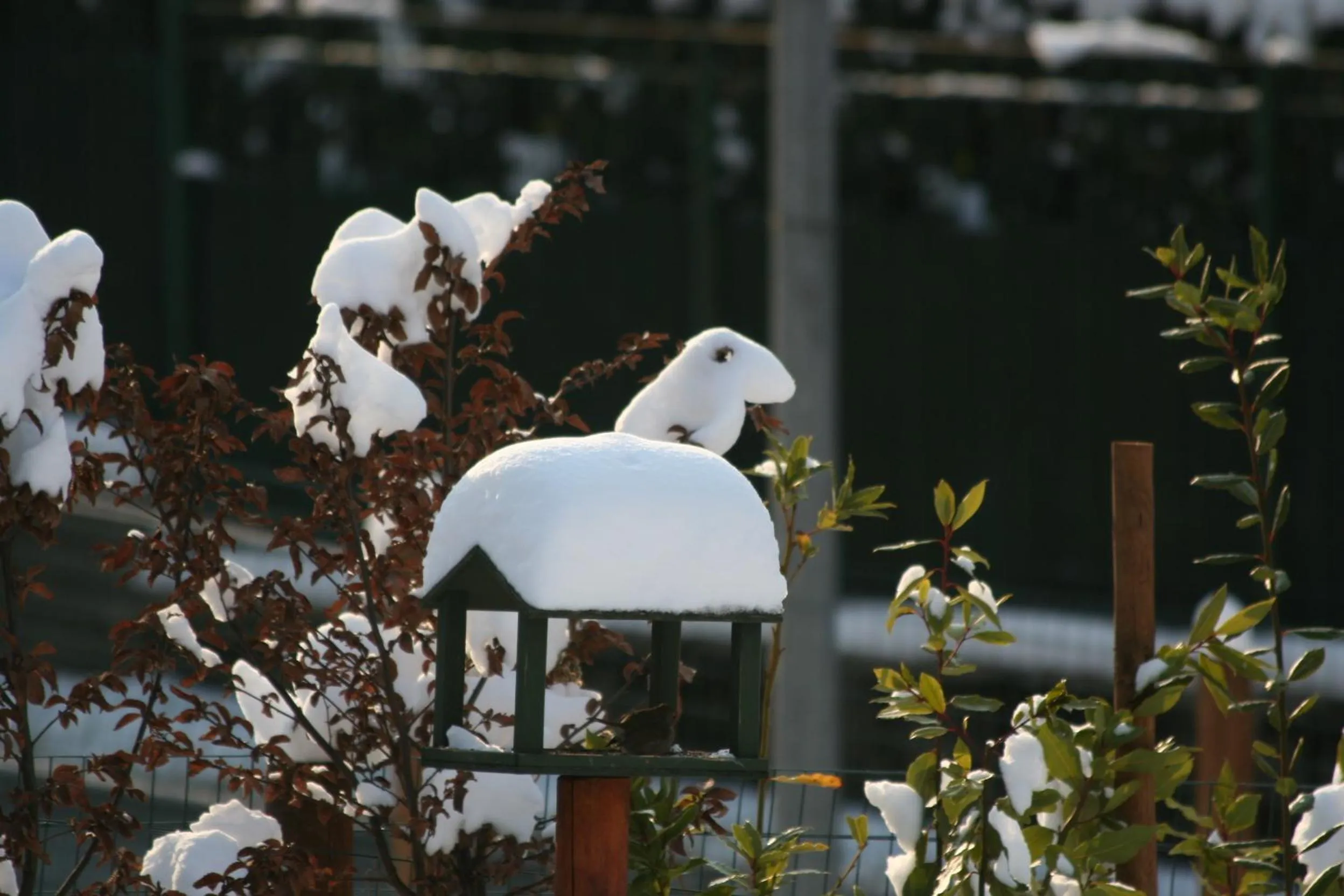 Decorative detail in B&B La Casa Di Campagna
