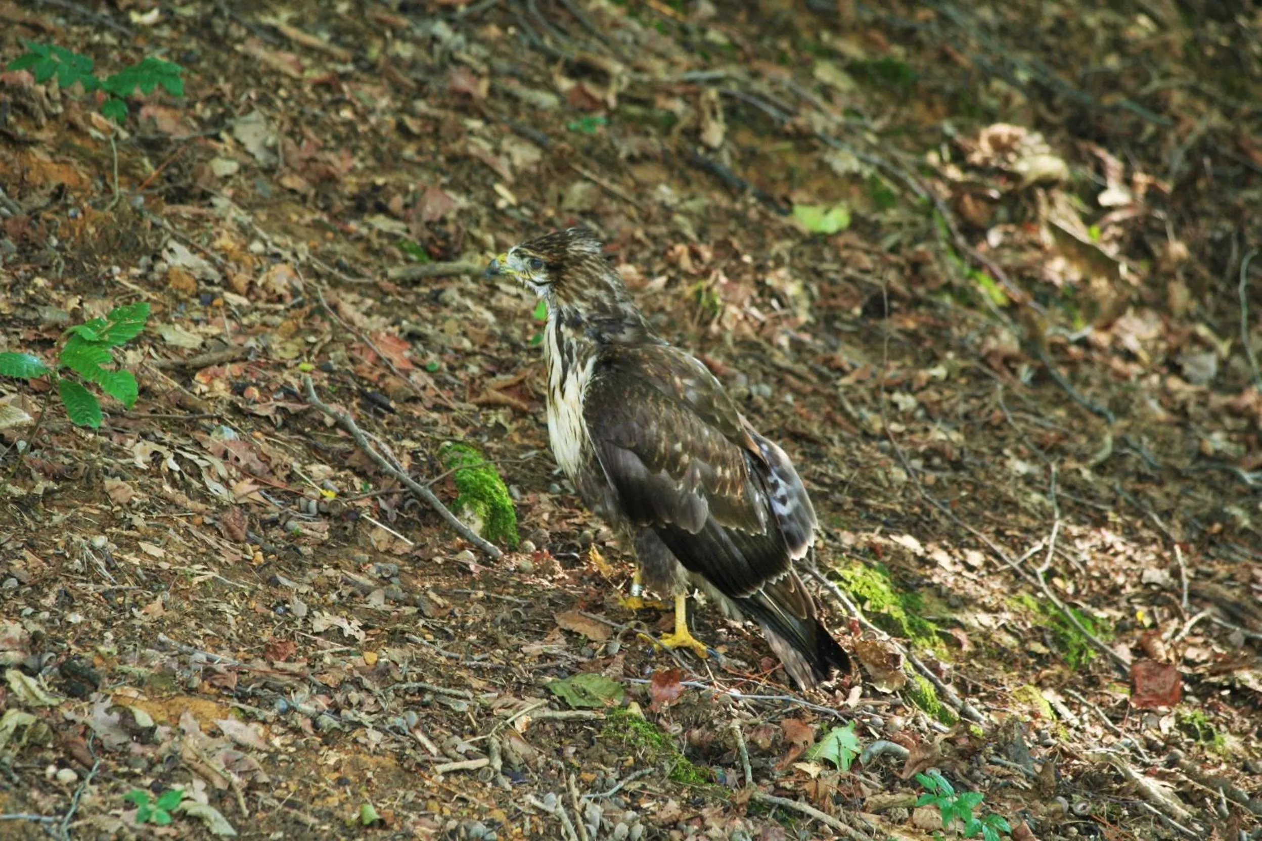 Day in B&B La Casa Di Campagna