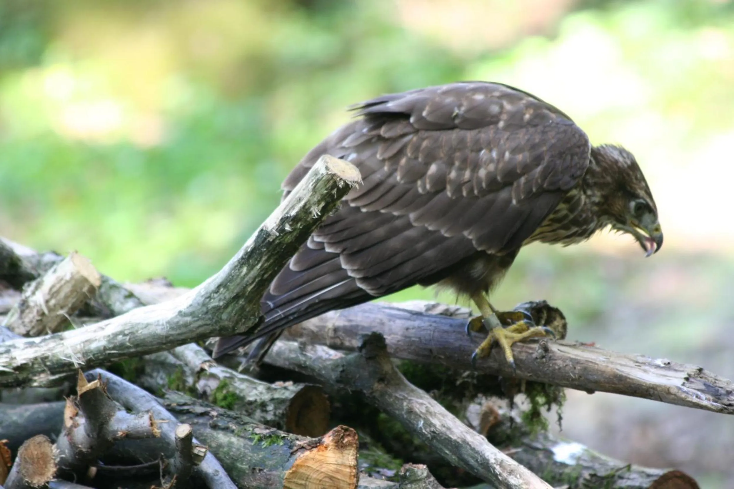 Day in B&B La Casa Di Campagna