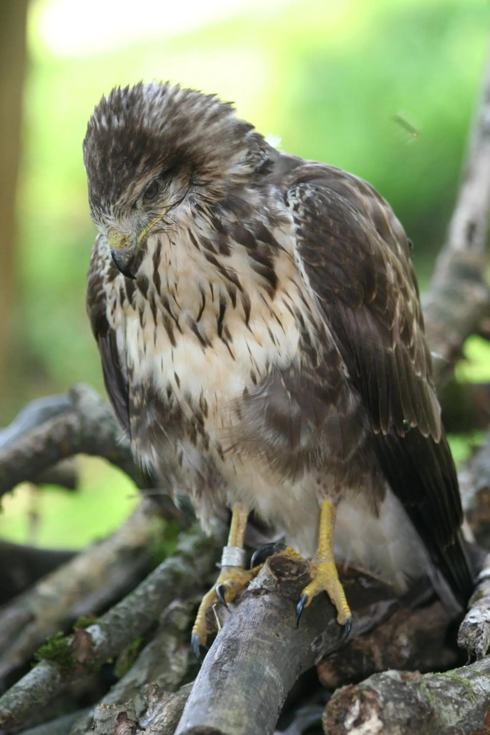 Day in B&B La Casa Di Campagna