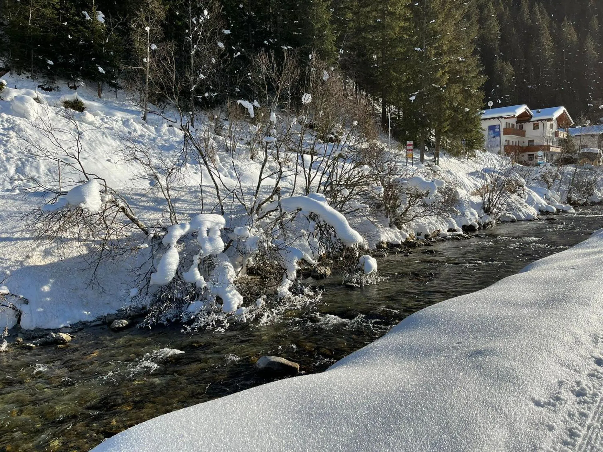 Natural landscape in APPARTEMENT EBERHARTER Conny