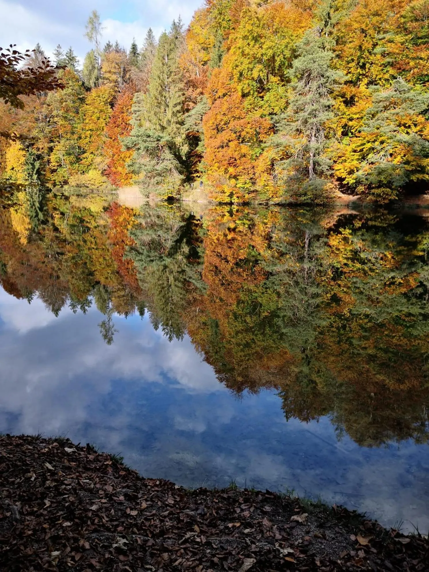 Natural landscape in APPARTEMENT EBERHARTER Conny