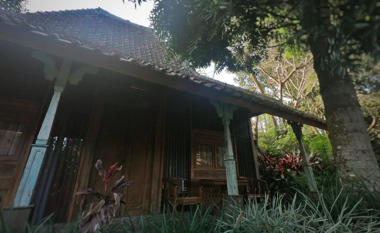 Sapulidi Cafe, Gallery & Resort