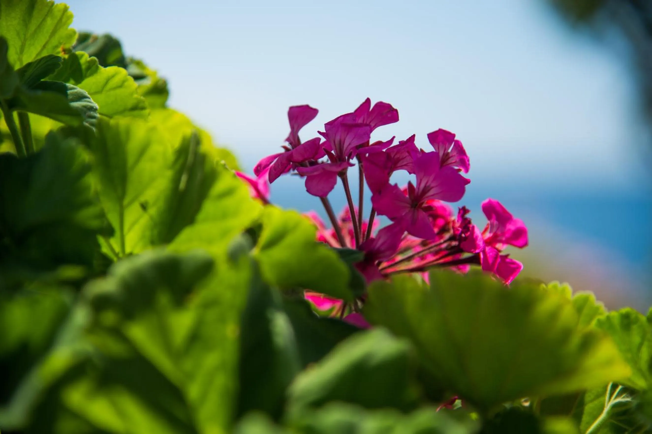 Decorative detail in Krouzeri Beach Apartments