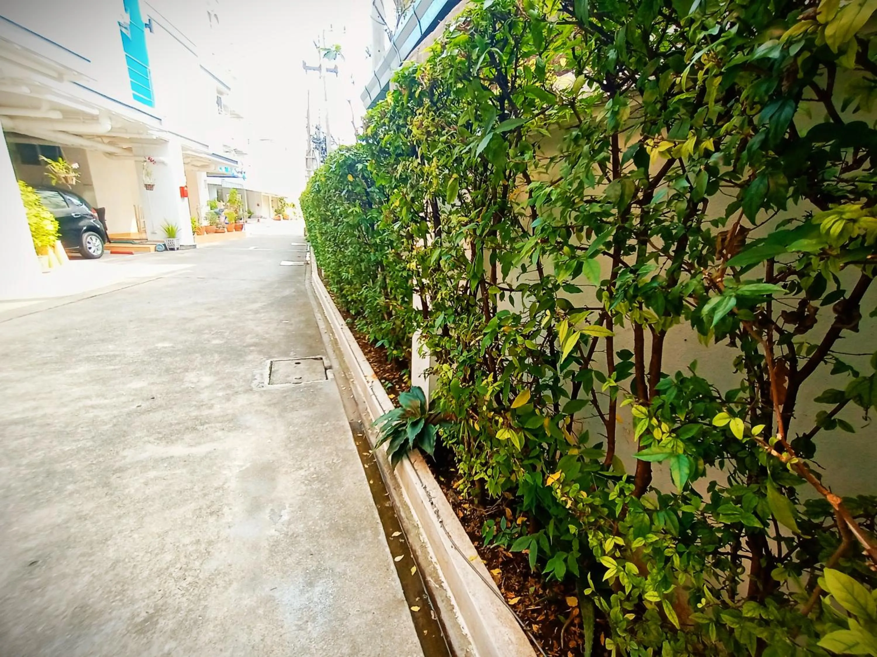 Neighbourhood in Common Living