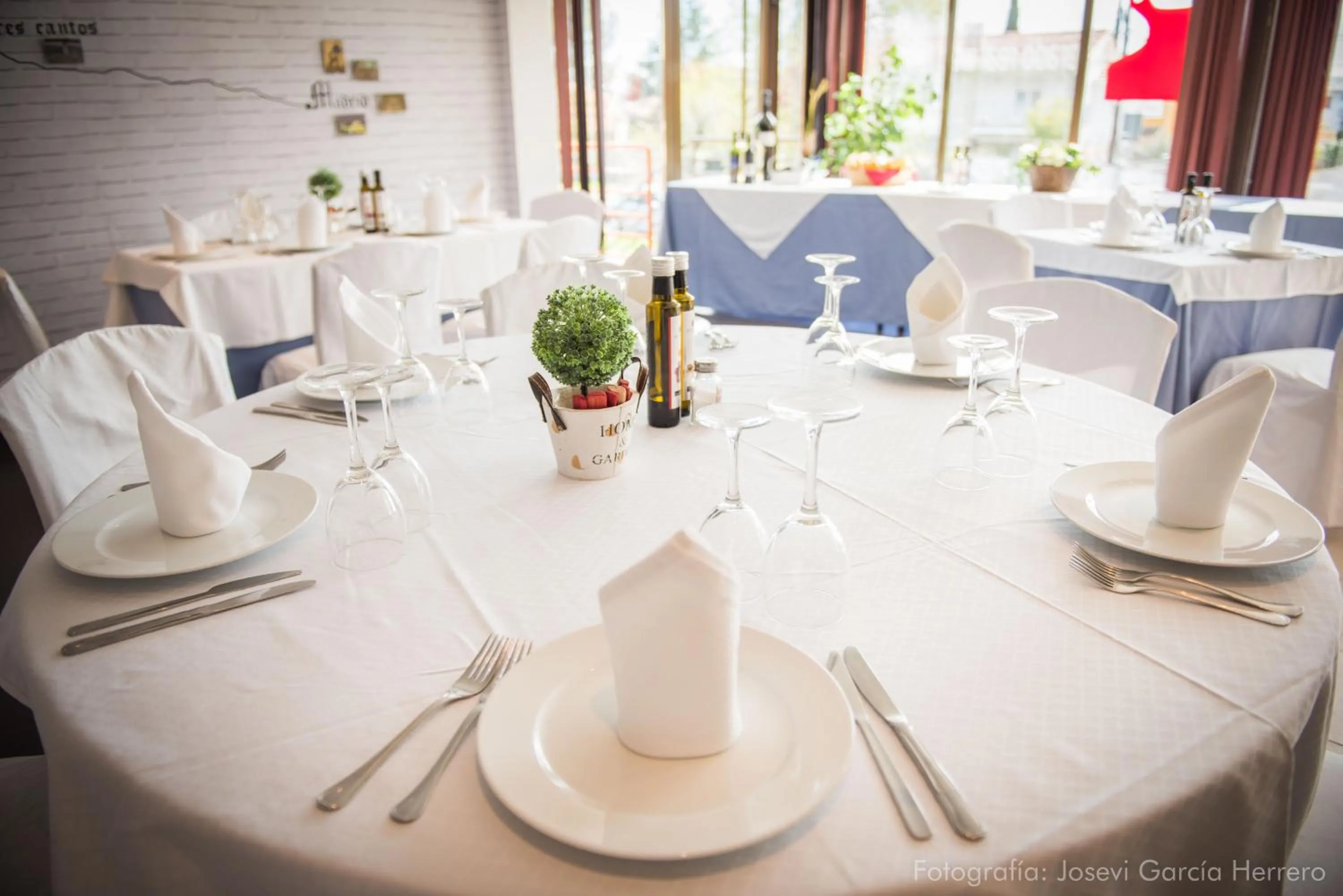 Restaurant/places to eat in Hotel Prado Real