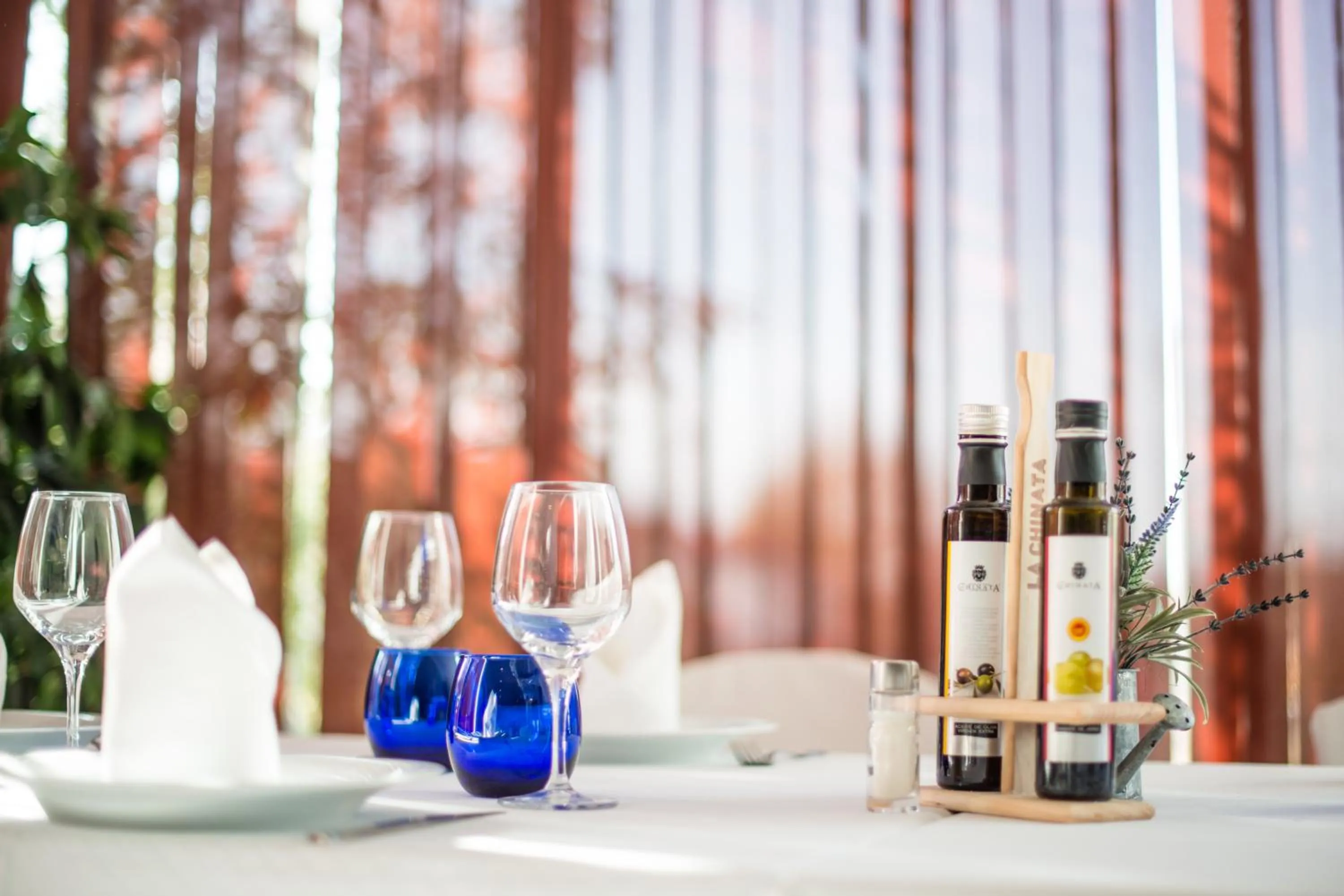 Drinks in Hotel Prado Real