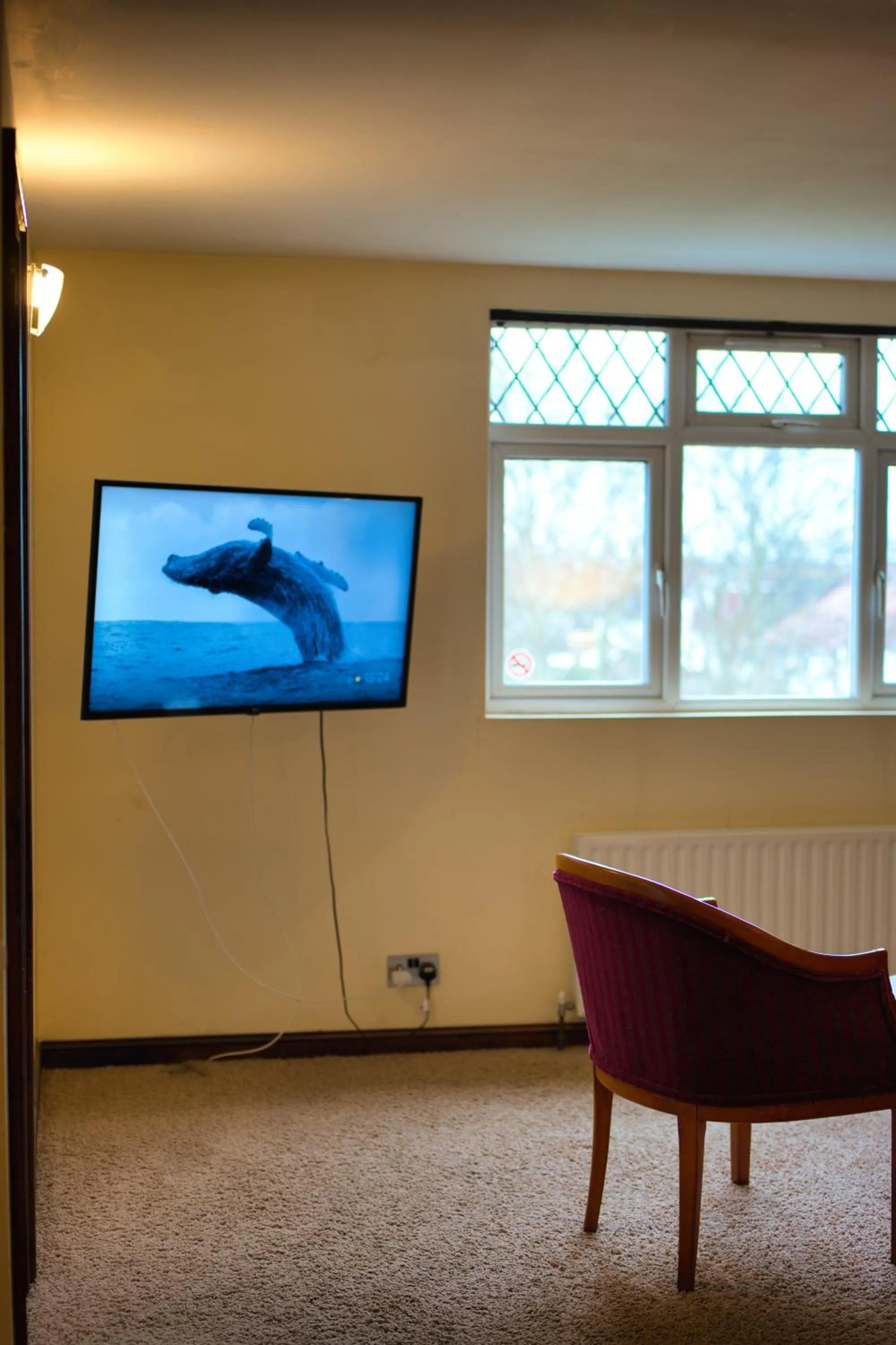 TV and multimedia in Clifton House Brighton