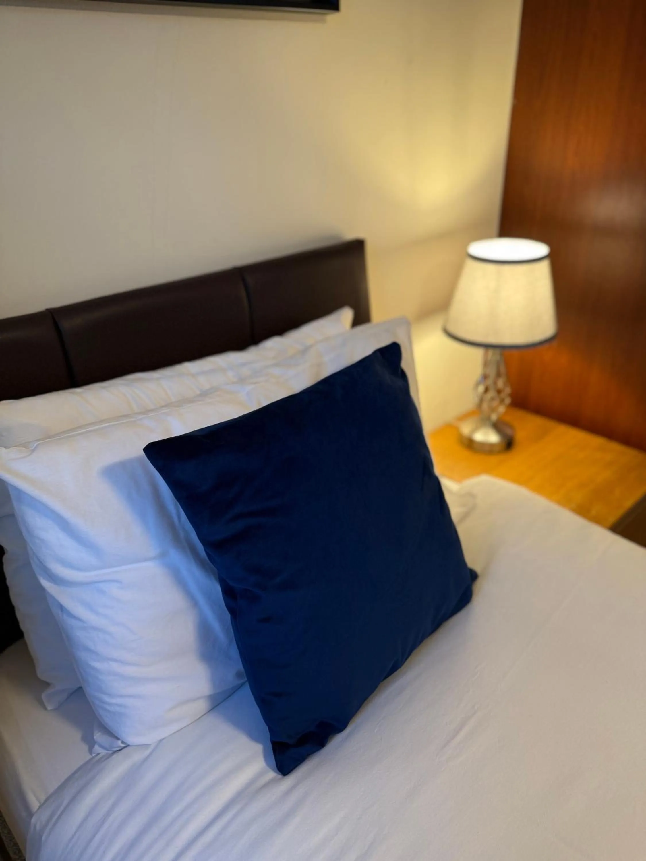 Bed in Clifton House Brighton