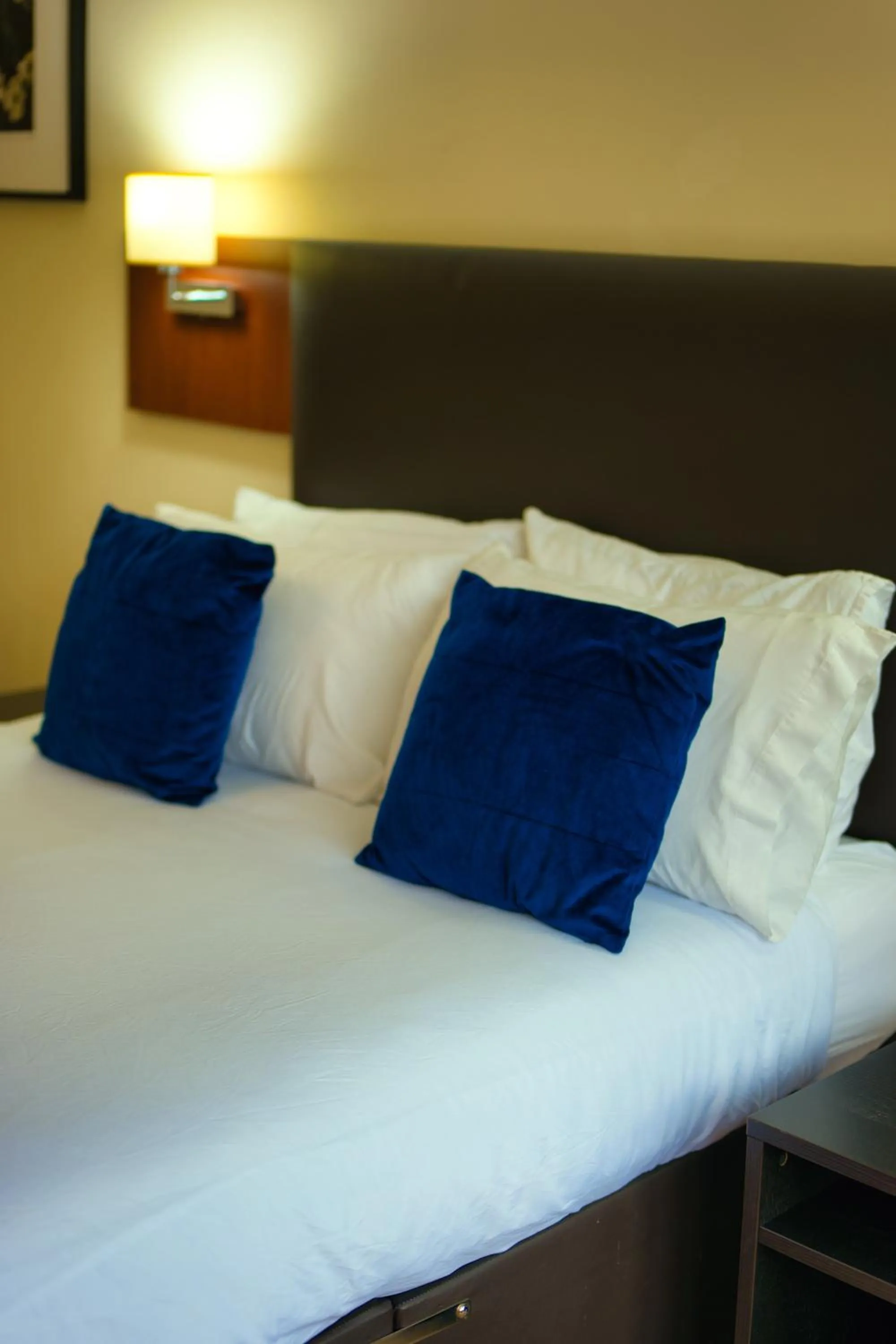 Bed in Clifton House Brighton