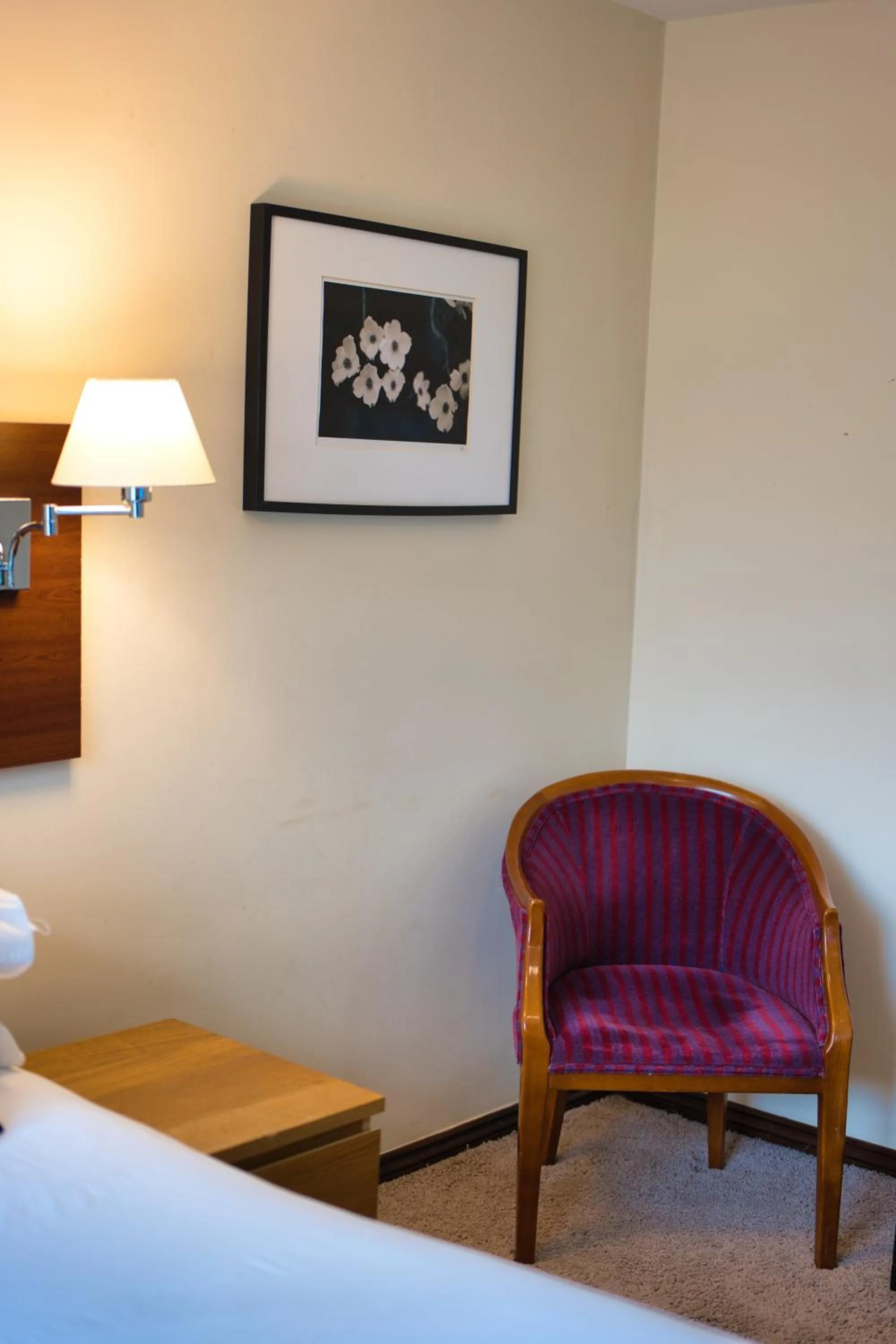 Bed in Clifton House Brighton