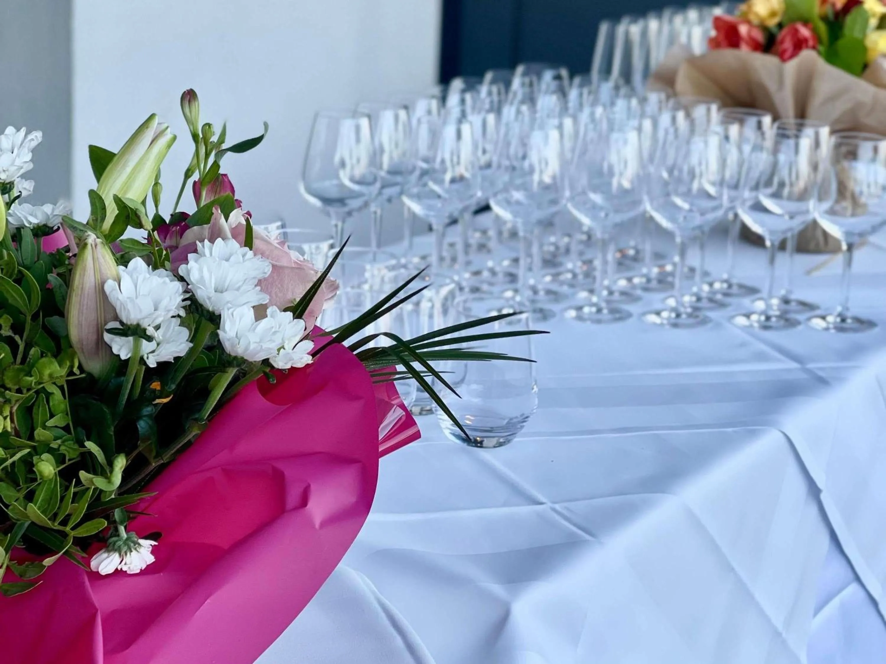 Meeting/conference room in Mercure Hotel & Spa Bastia Biguglia