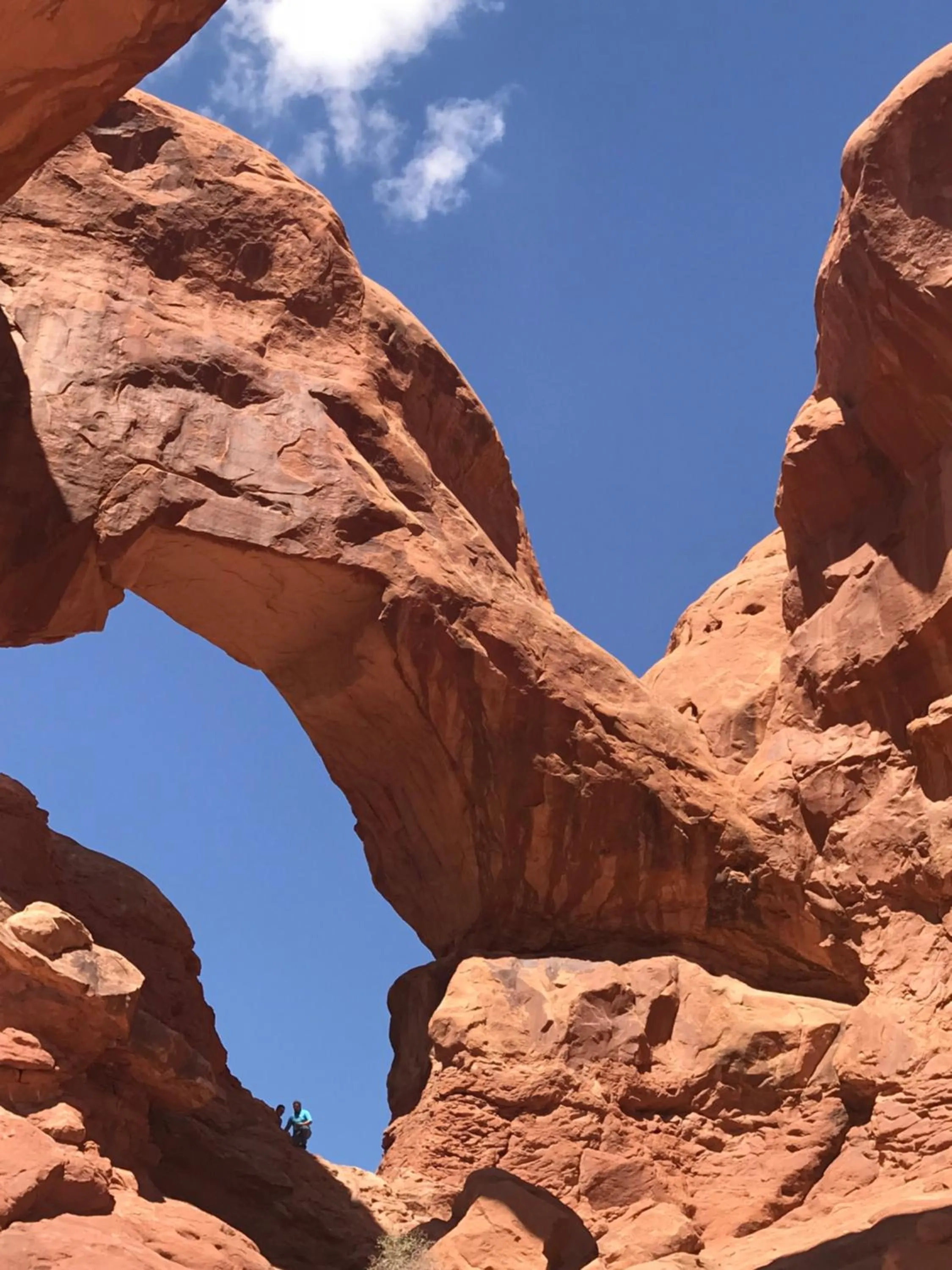 Prospector Motor Lodge