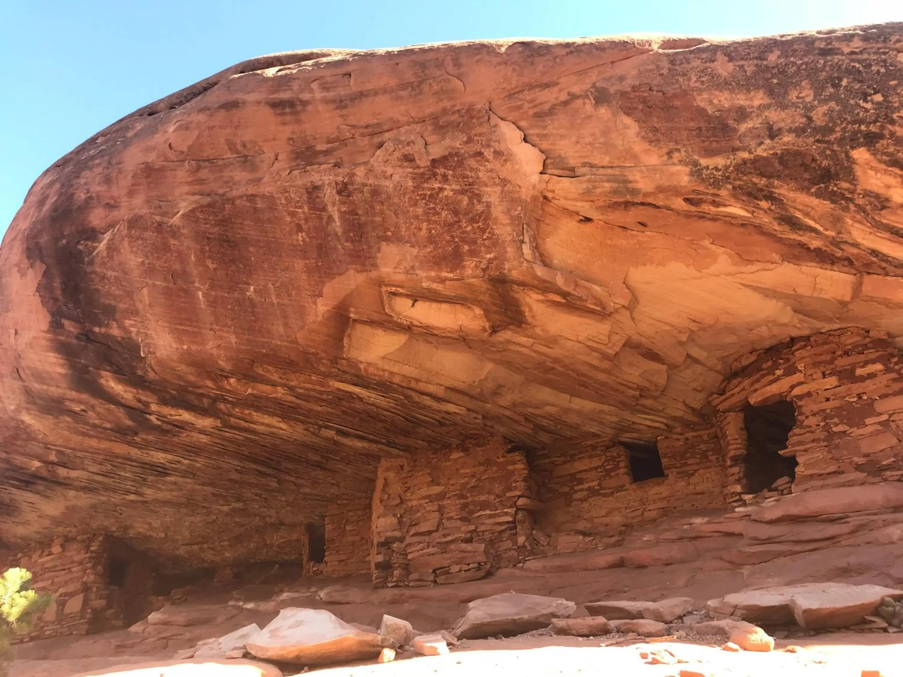 Prospector Motor Lodge