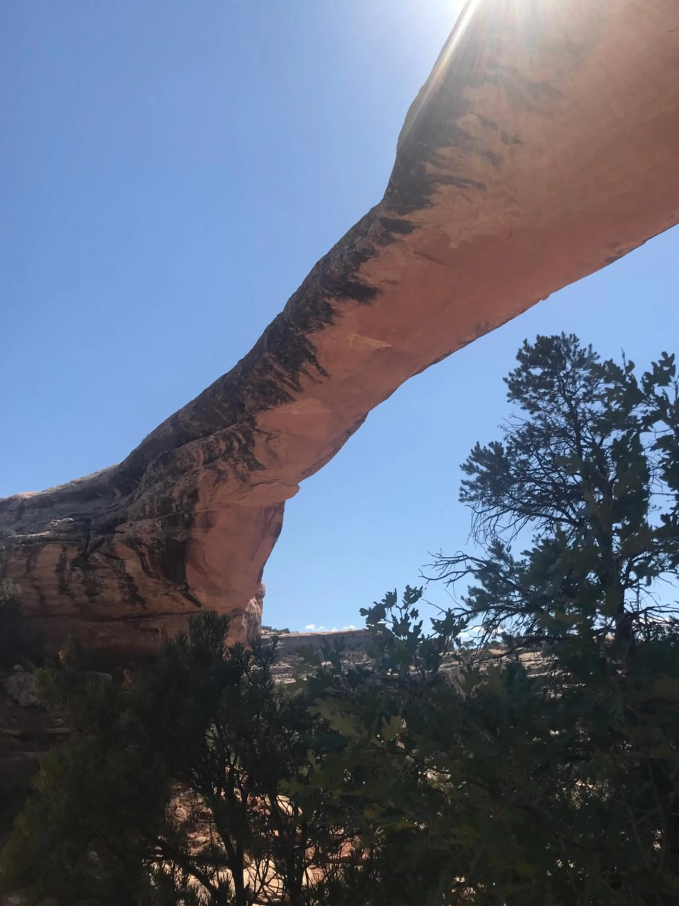 Prospector Motor Lodge