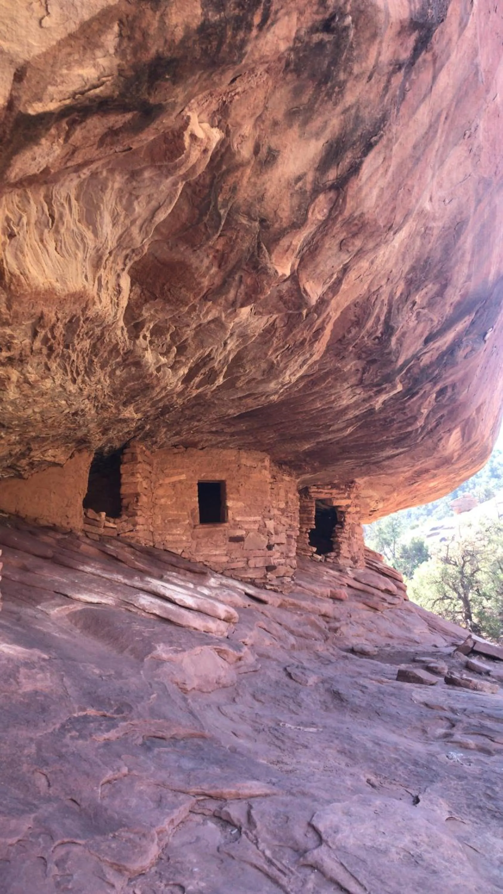 Prospector Motor Lodge