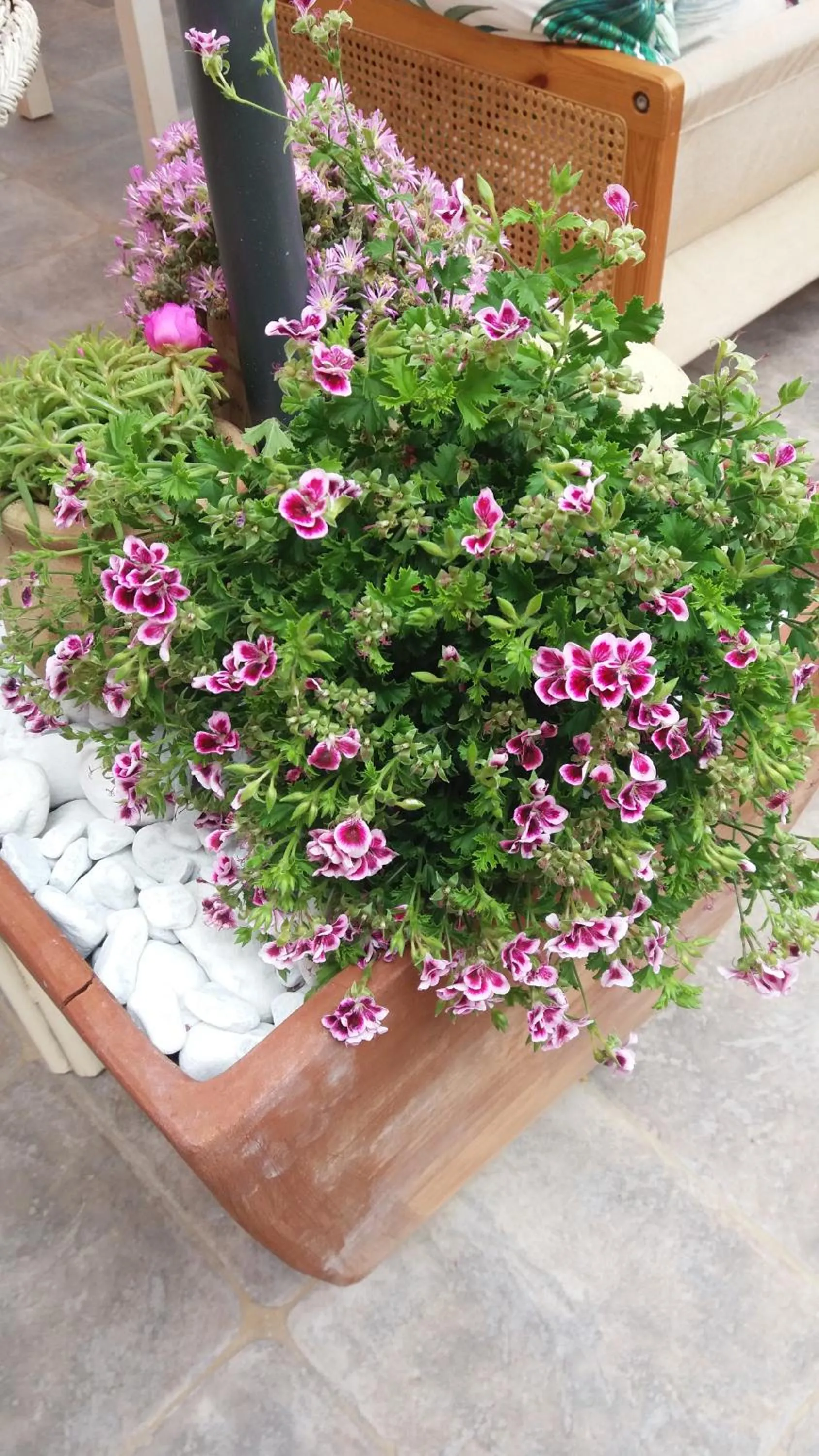 Spring in Hotel Sa Cralla Villasimius