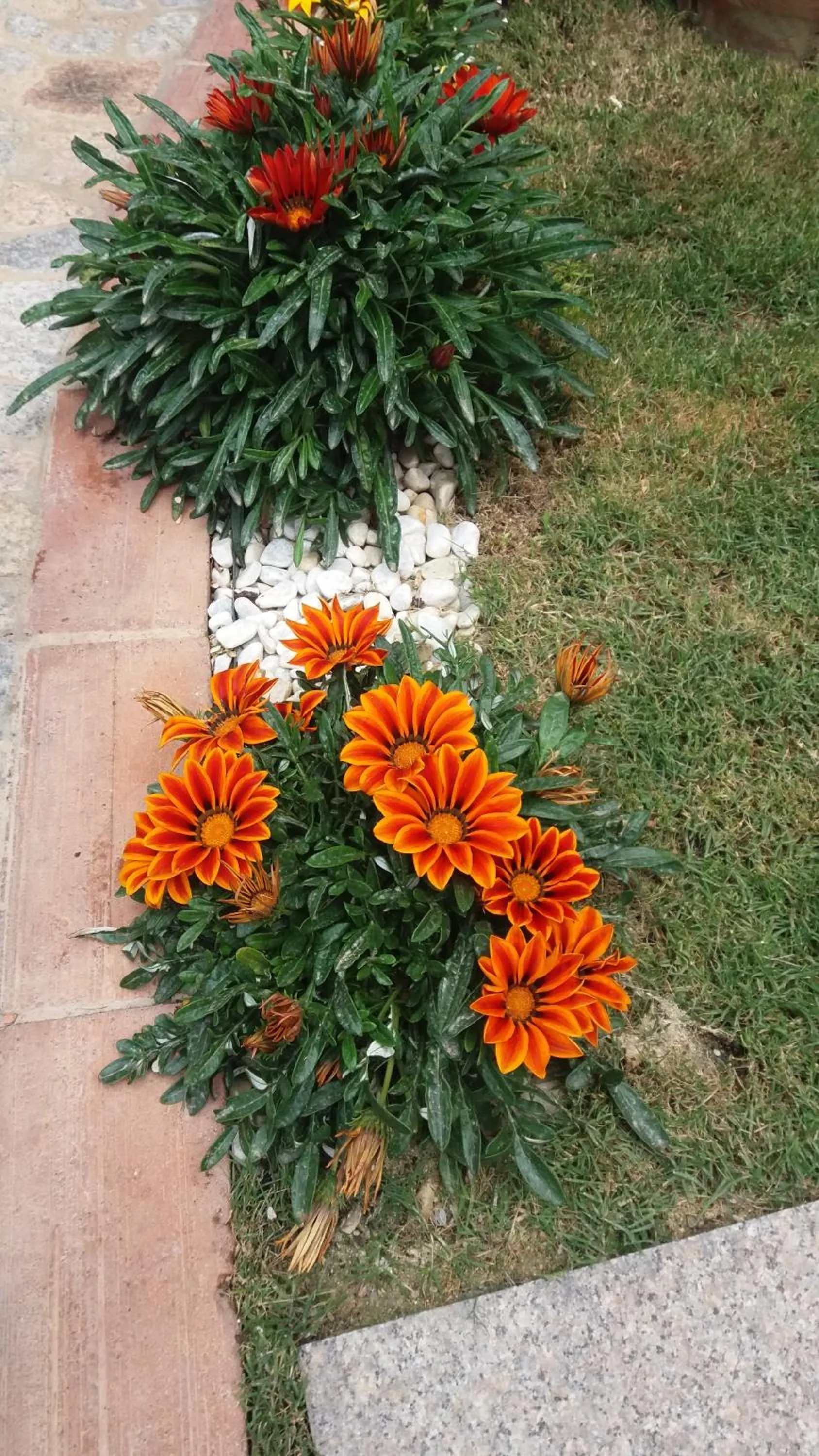 Spring in Hotel Sa Cralla Villasimius