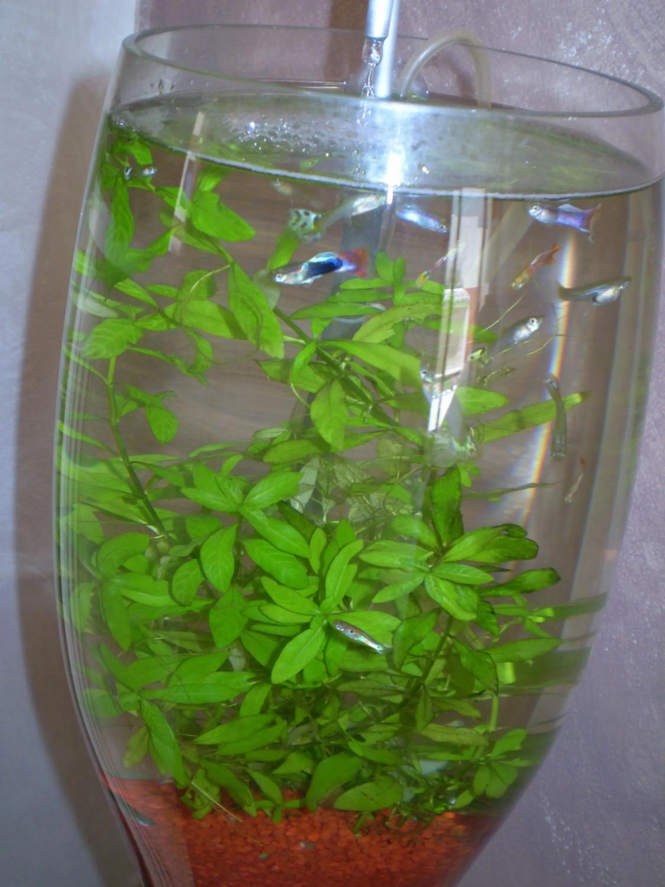 Lobby or reception in Hotel Sa Cralla Villasimius