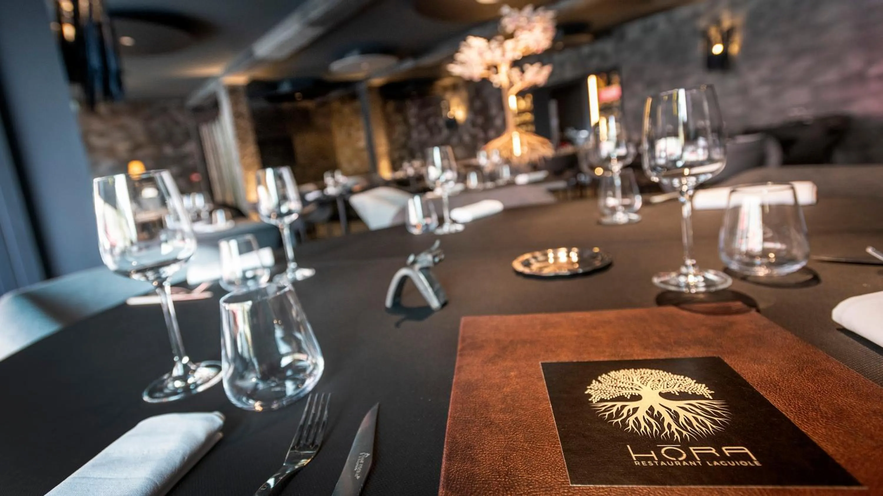 Restaurant/places to eat in Logis Hôtel Restaurant Gilles Moreau Laguiole