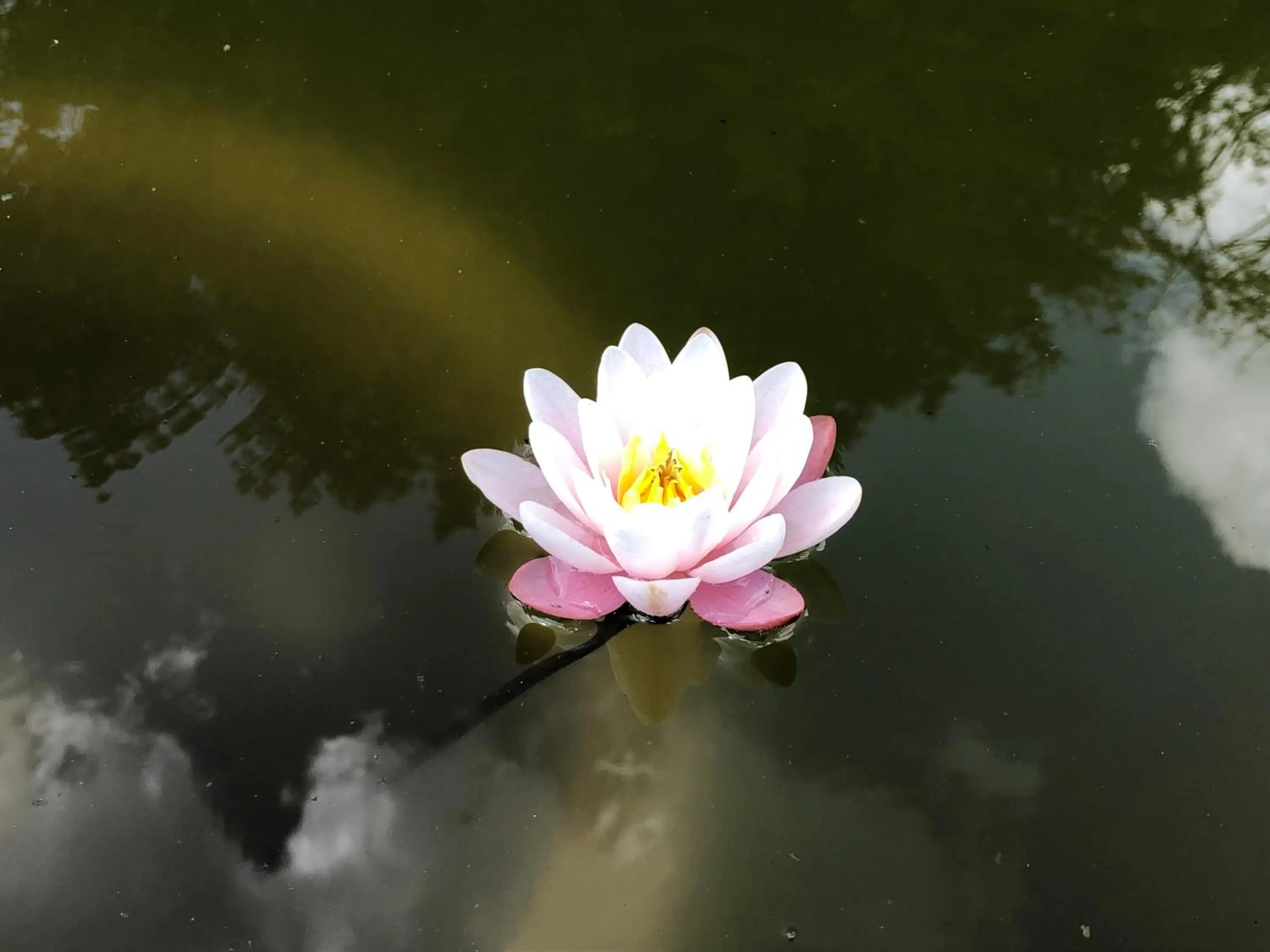 Château de la gauderie