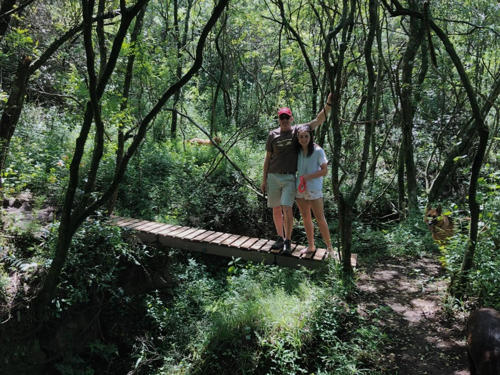 Gowan Valley Guest Farm