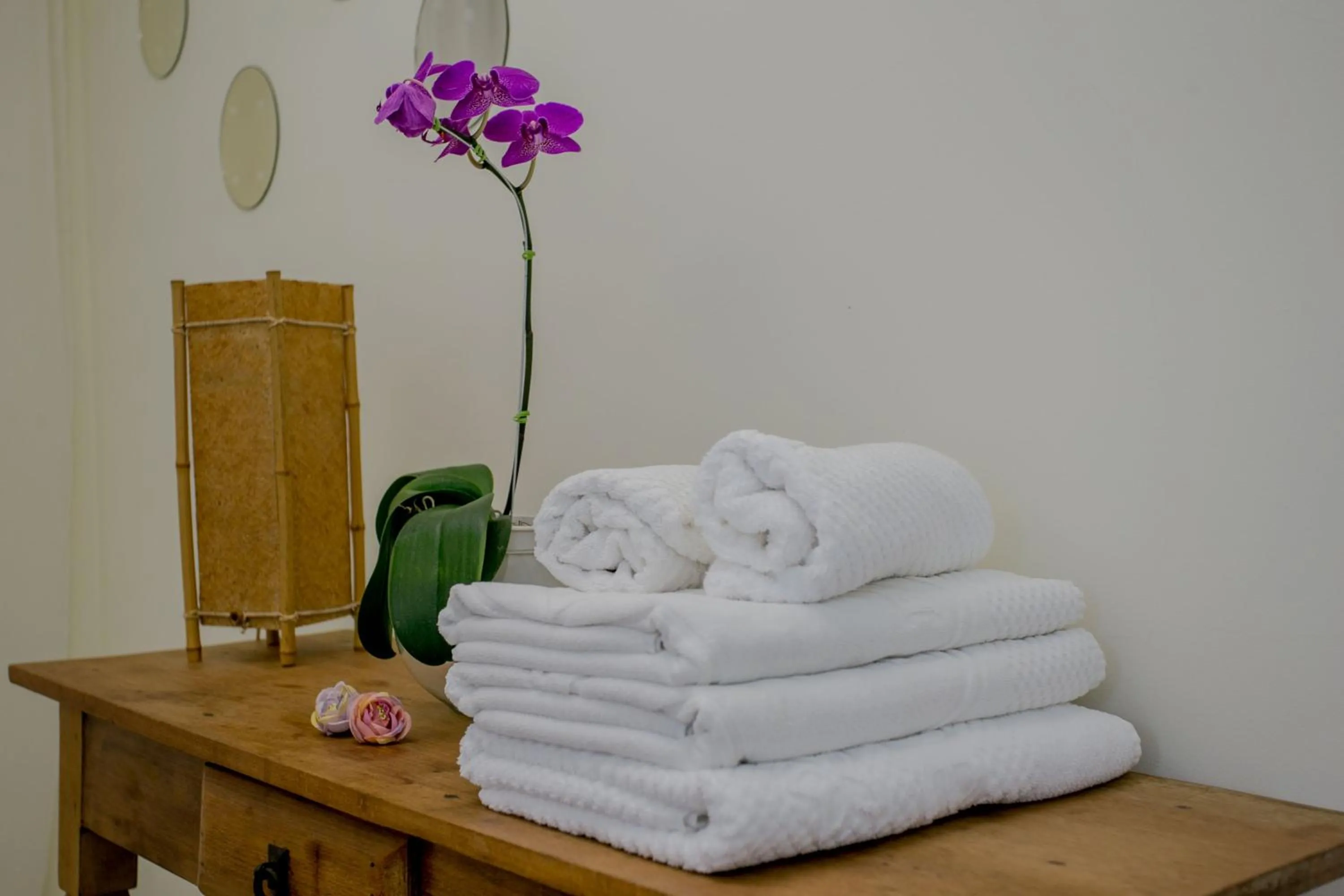 Massage in Beach Hotel Juquehy