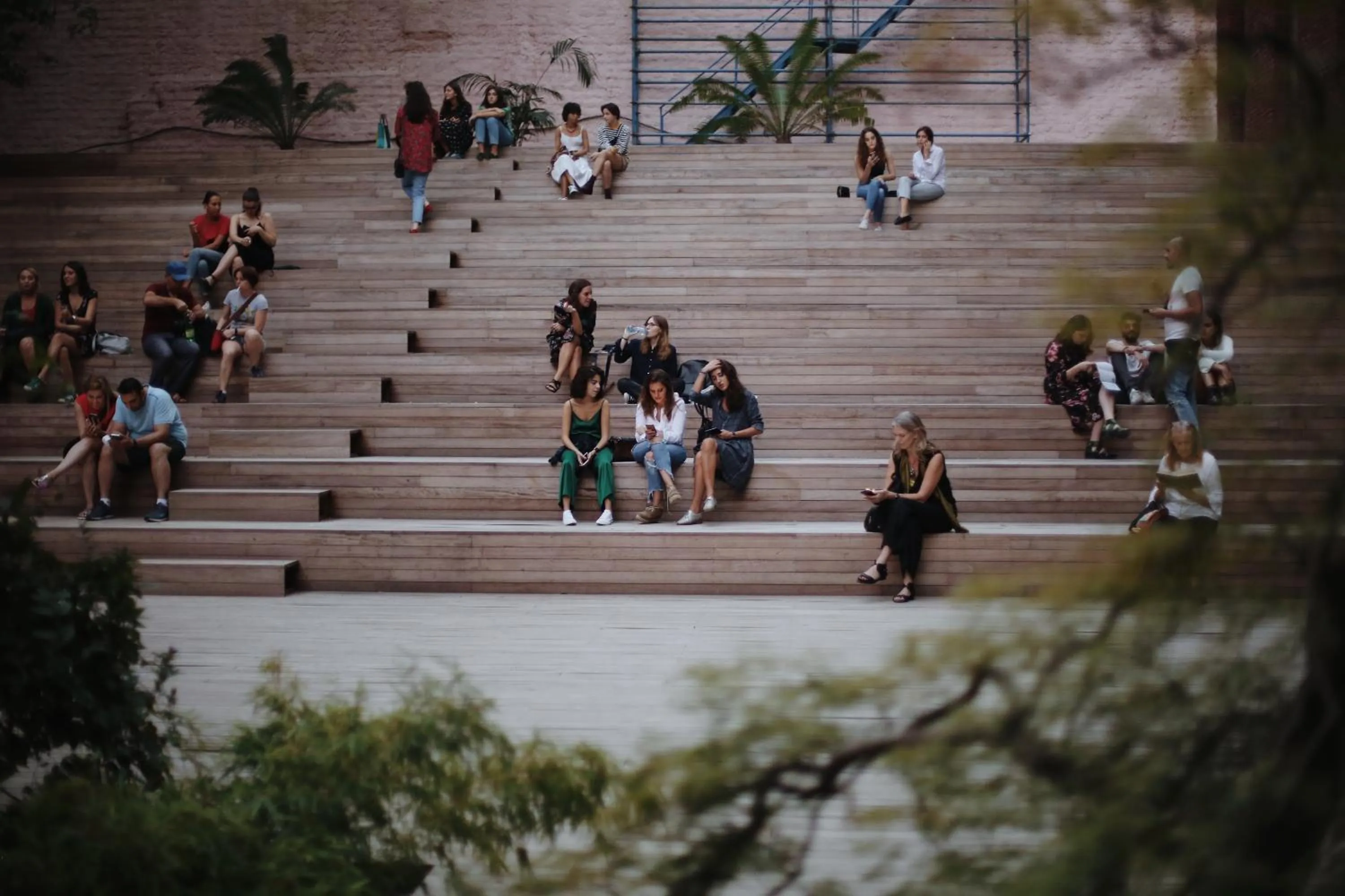 Garden in Stamba Hotel