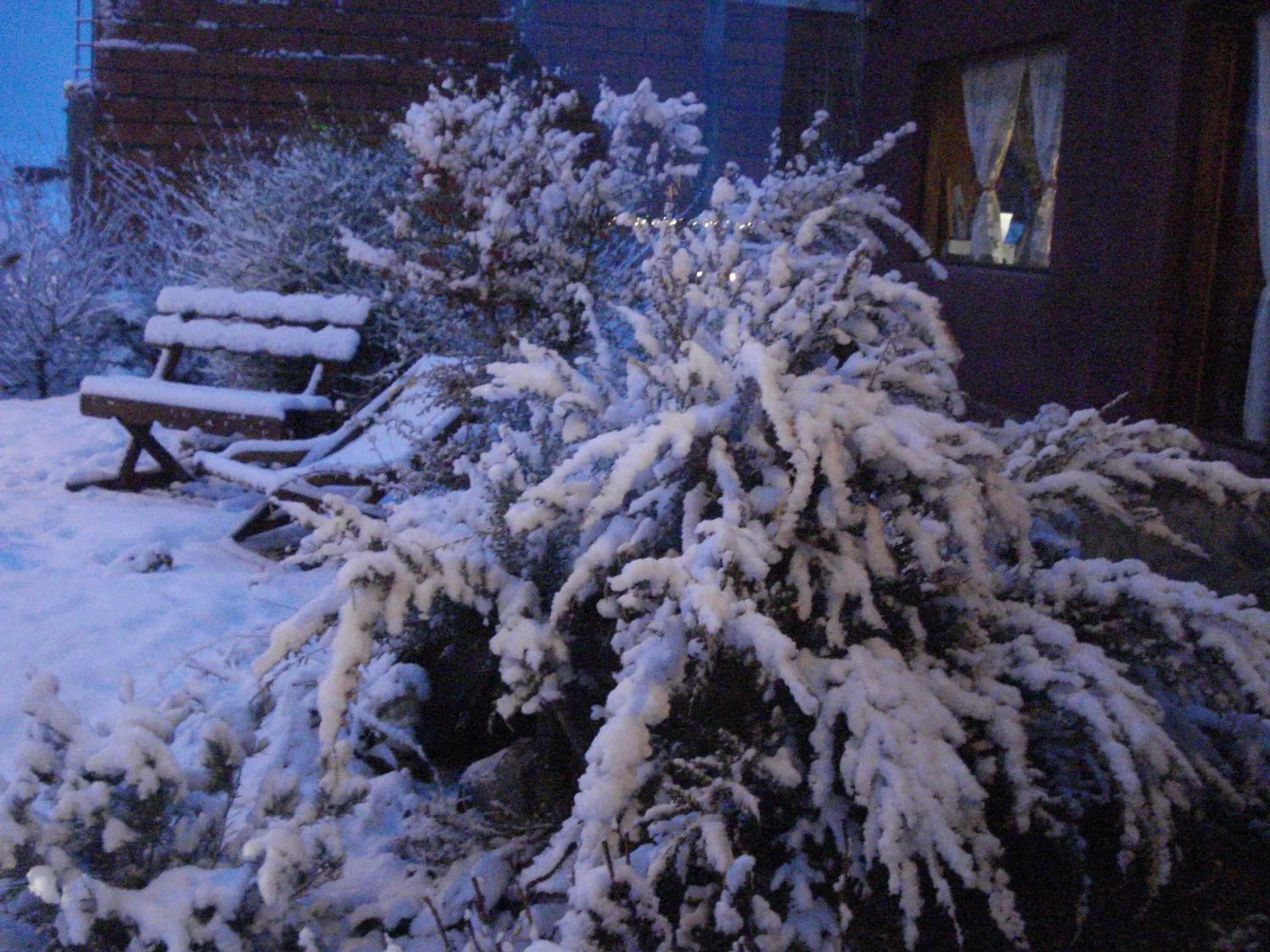 Patio in Hosteria Rukahué