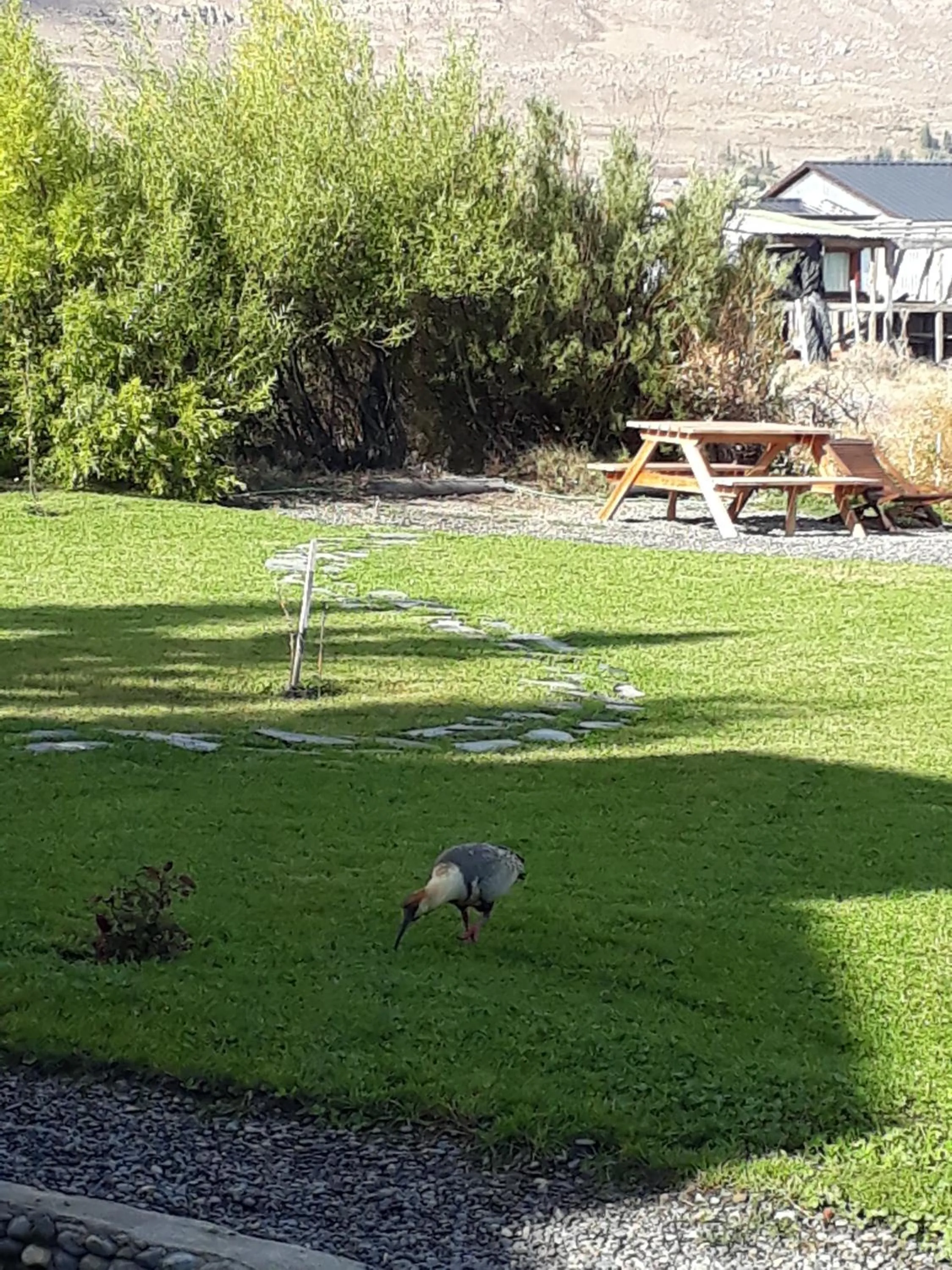 Garden in Hosteria Rukahué