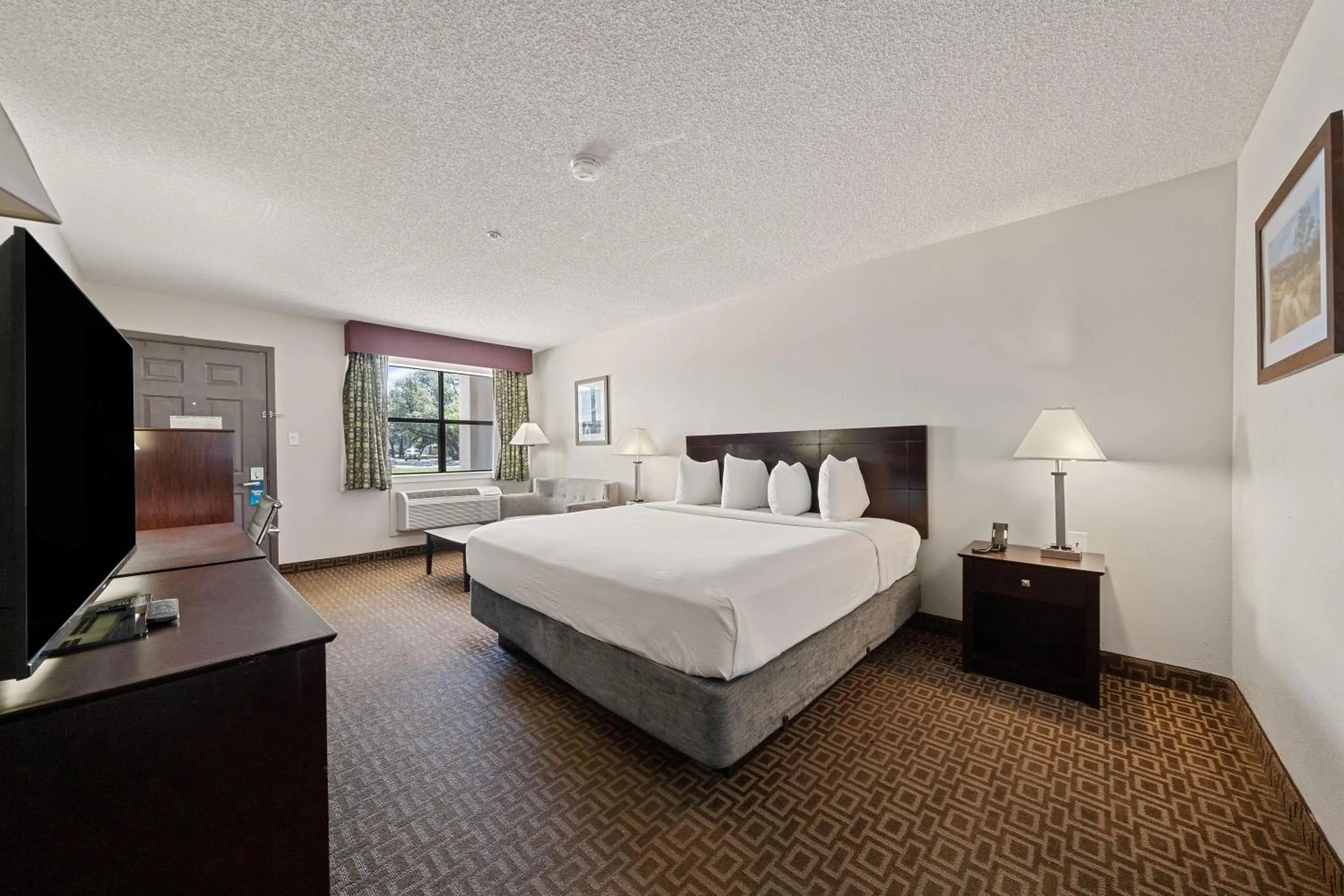 Bed in Best Western Round Rock