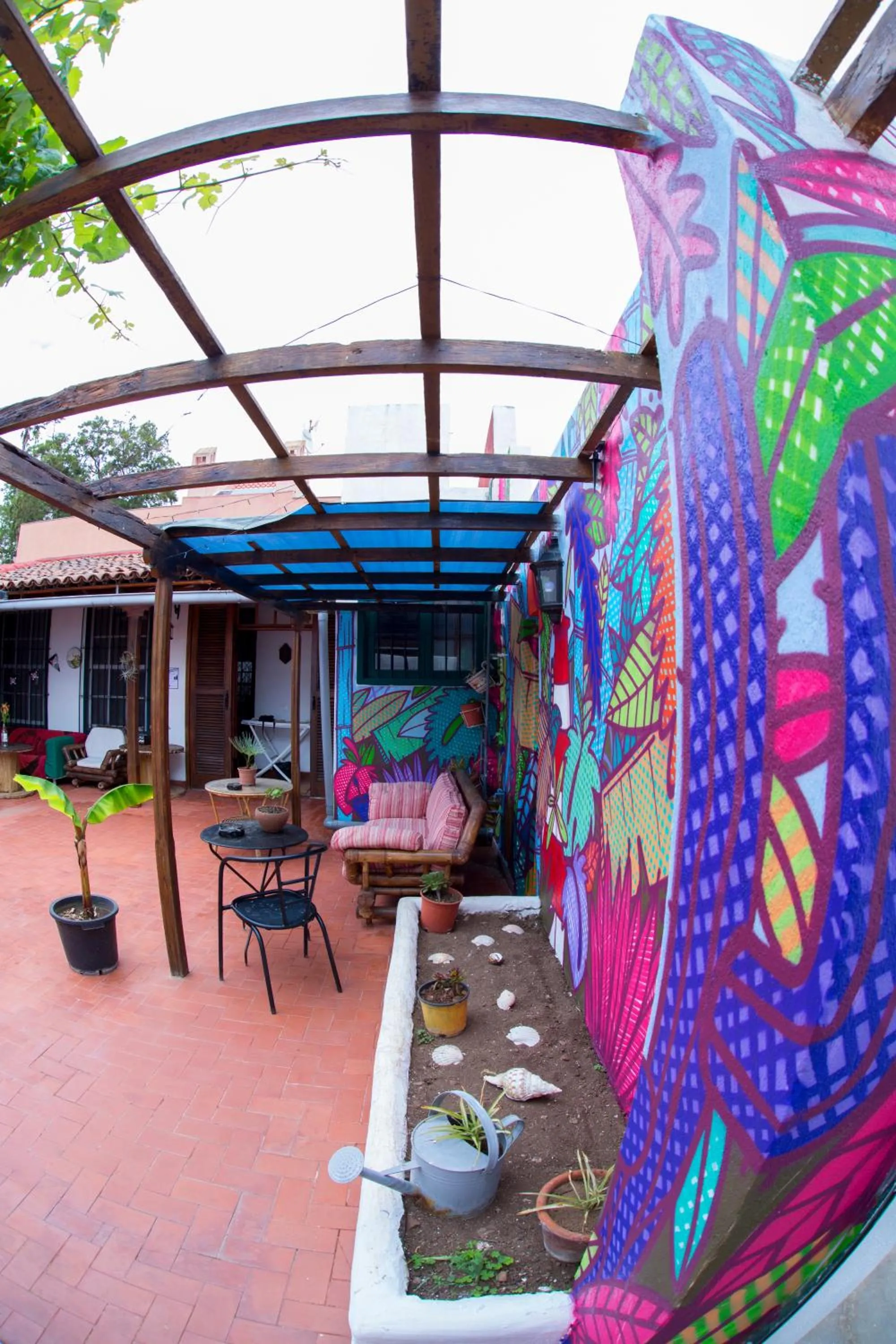 Garden in Patio Hostel