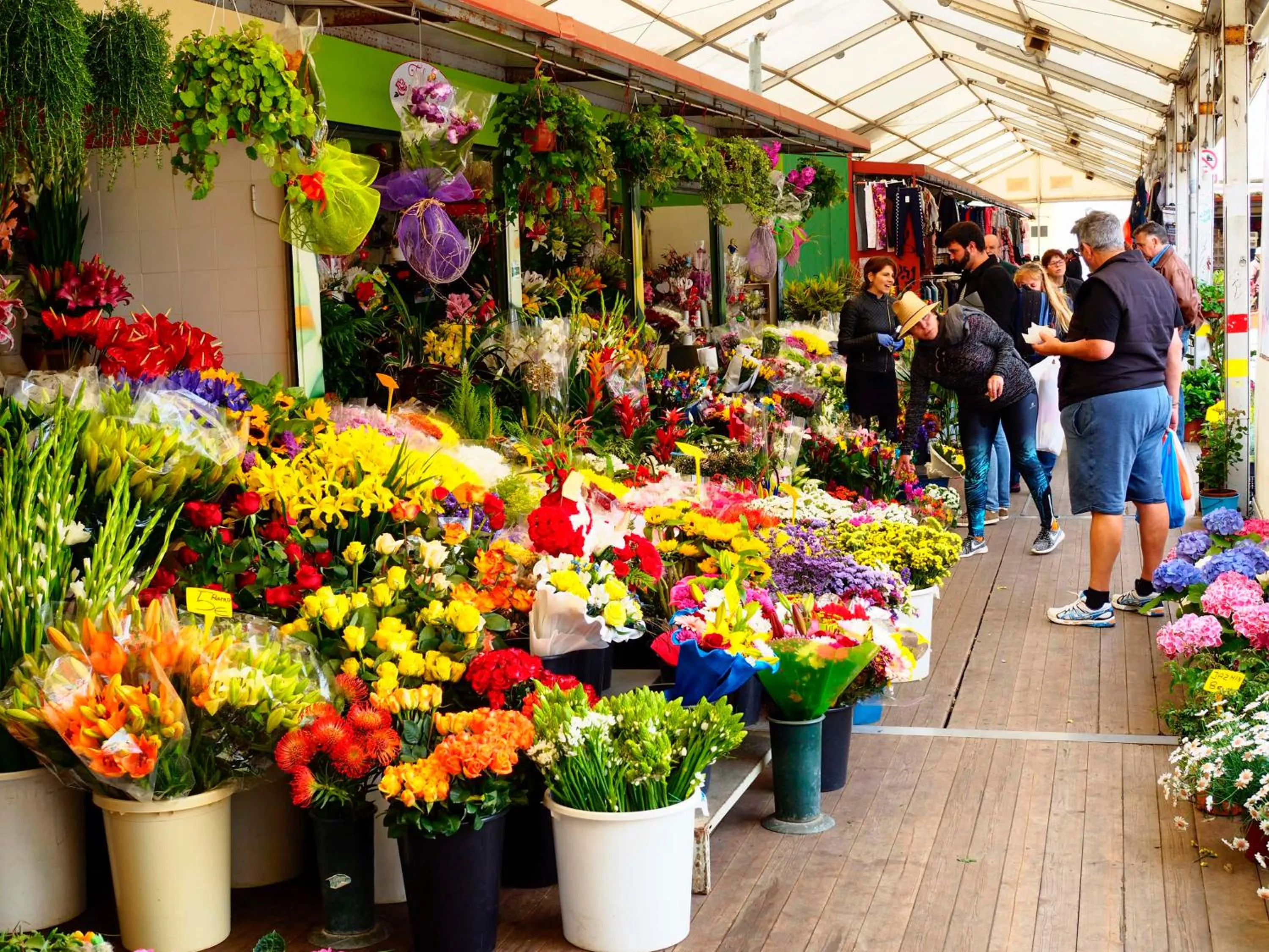 Entertainment in Patio Hostel