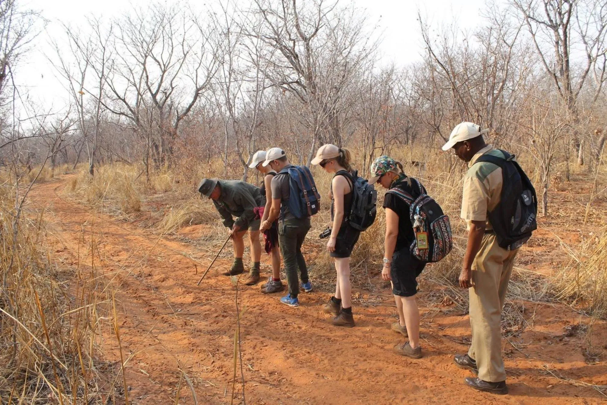 Activities in Kingfisher Creek Safari Lodge