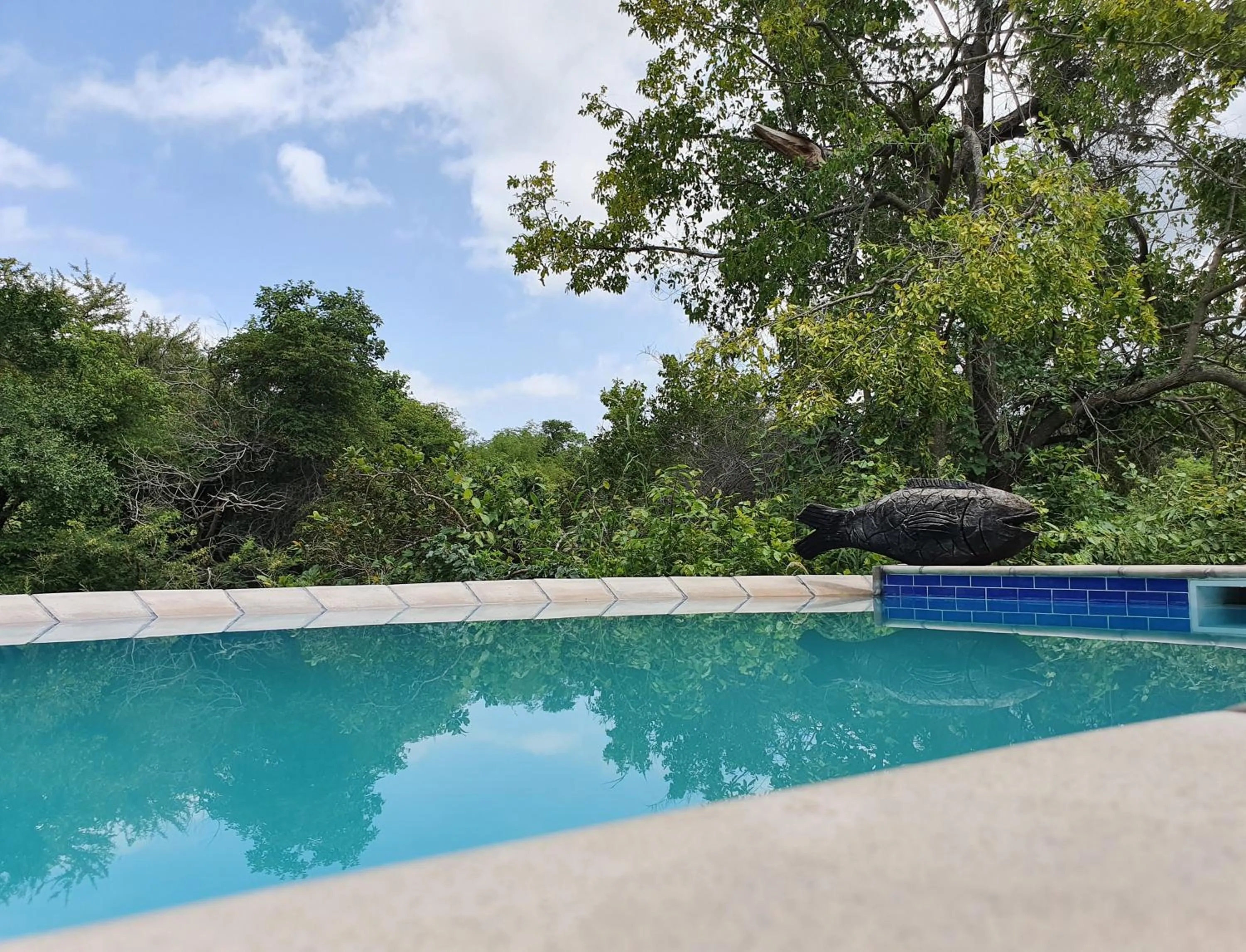 Swimming pool in Kingfisher Creek Safari Lodge