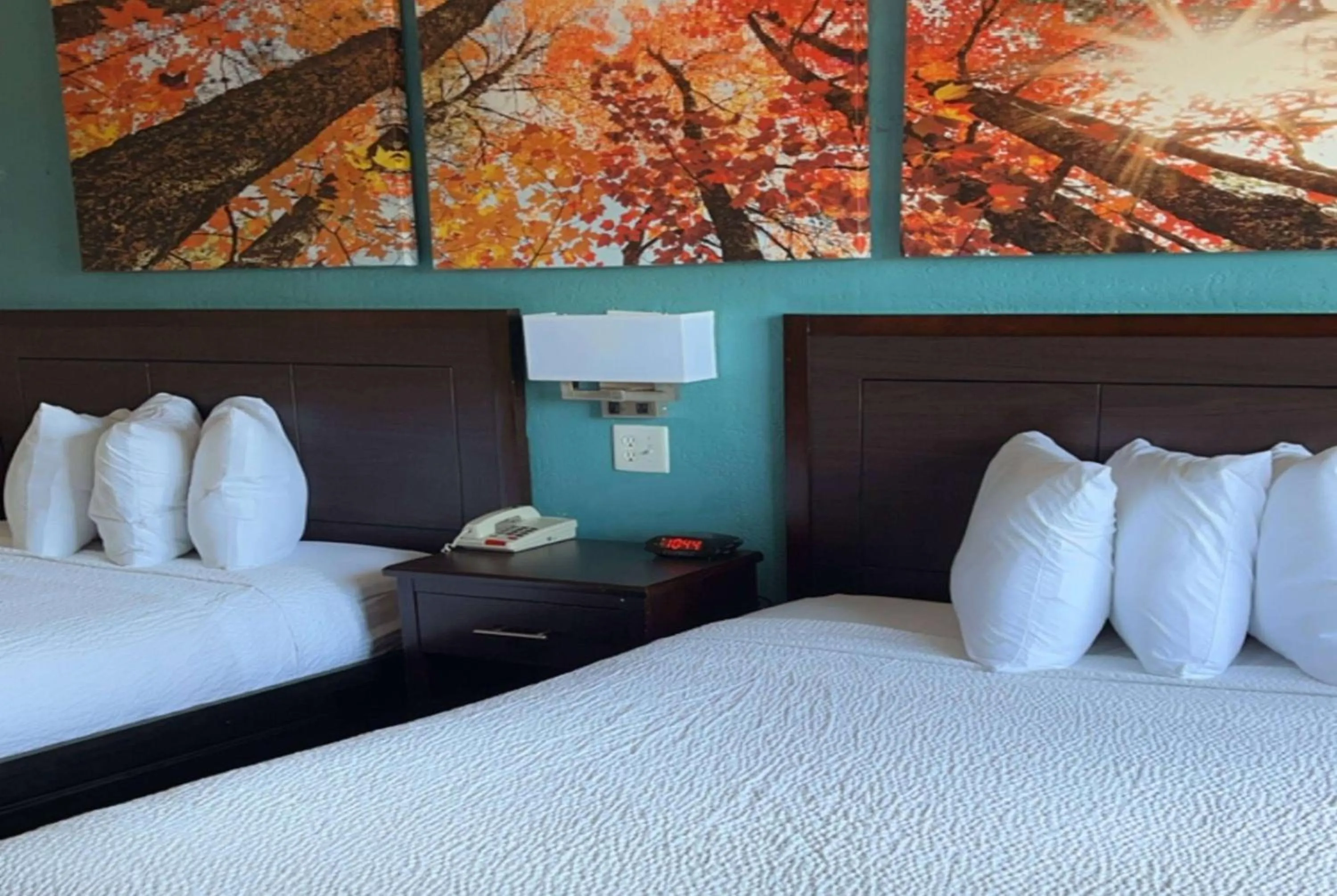 Photo of the whole room, Bed in Days Inn & Suites by Wyndham Springfield on I-44