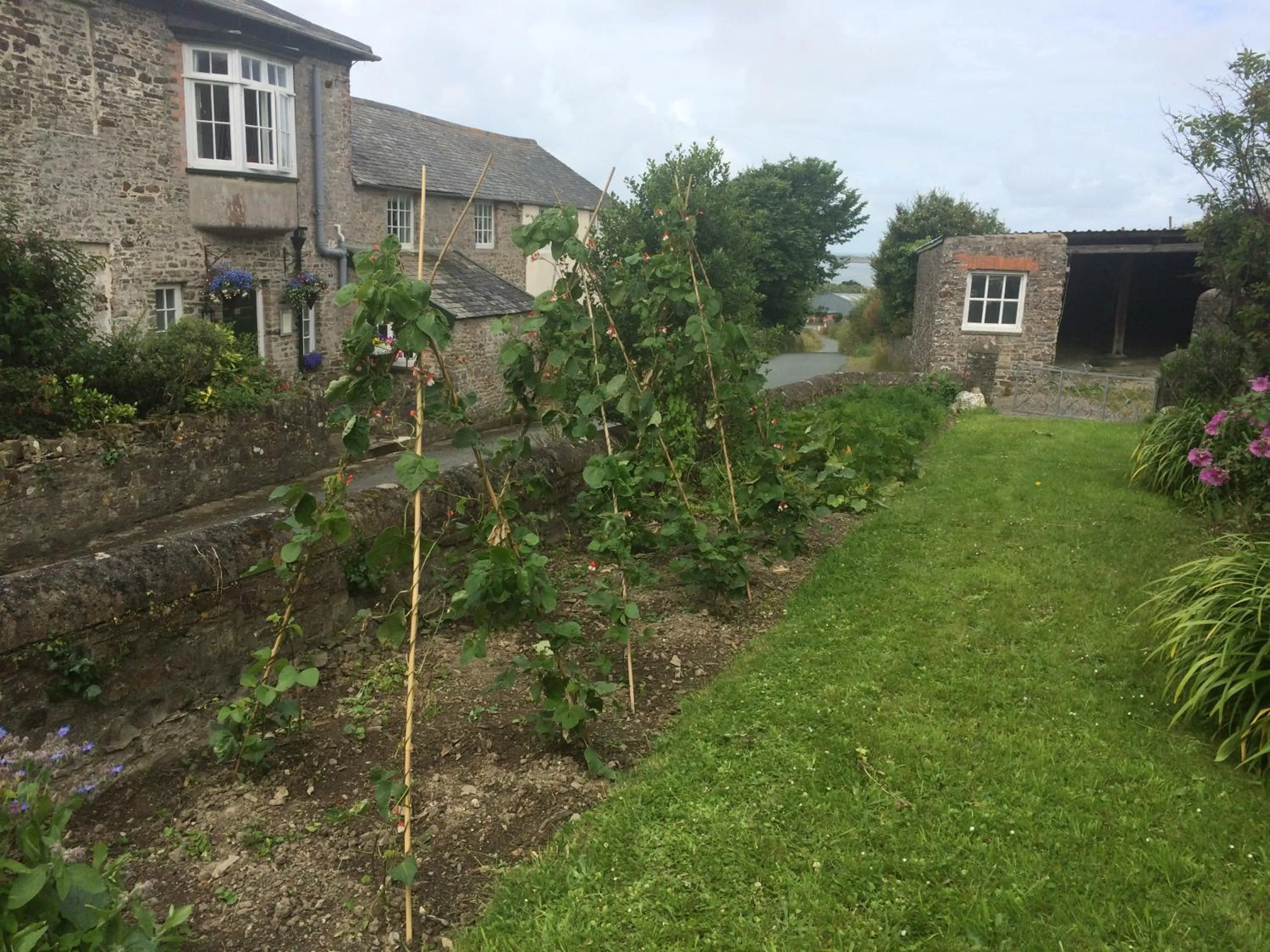 Property building in Instow Barton