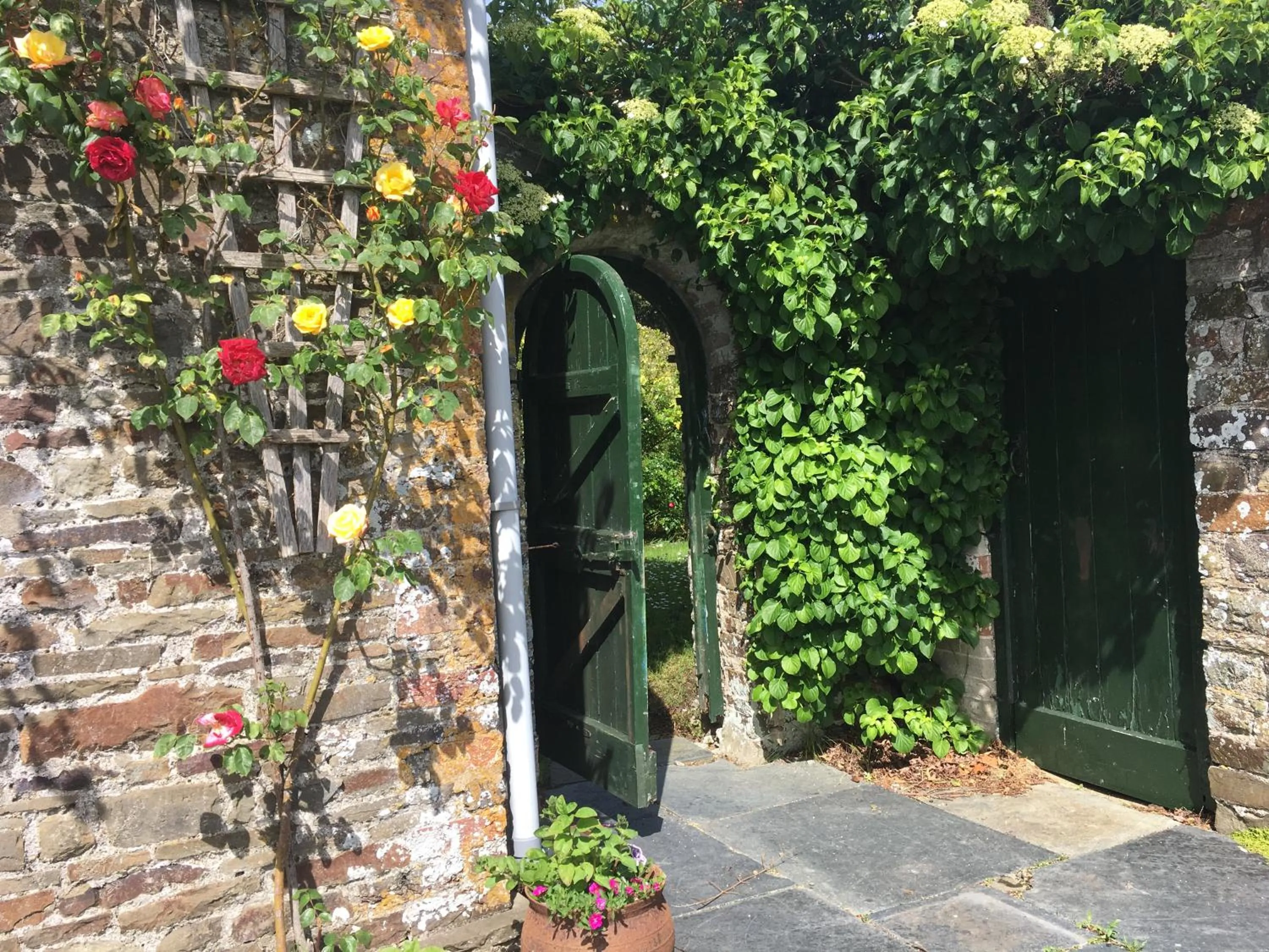 Property building in Instow Barton