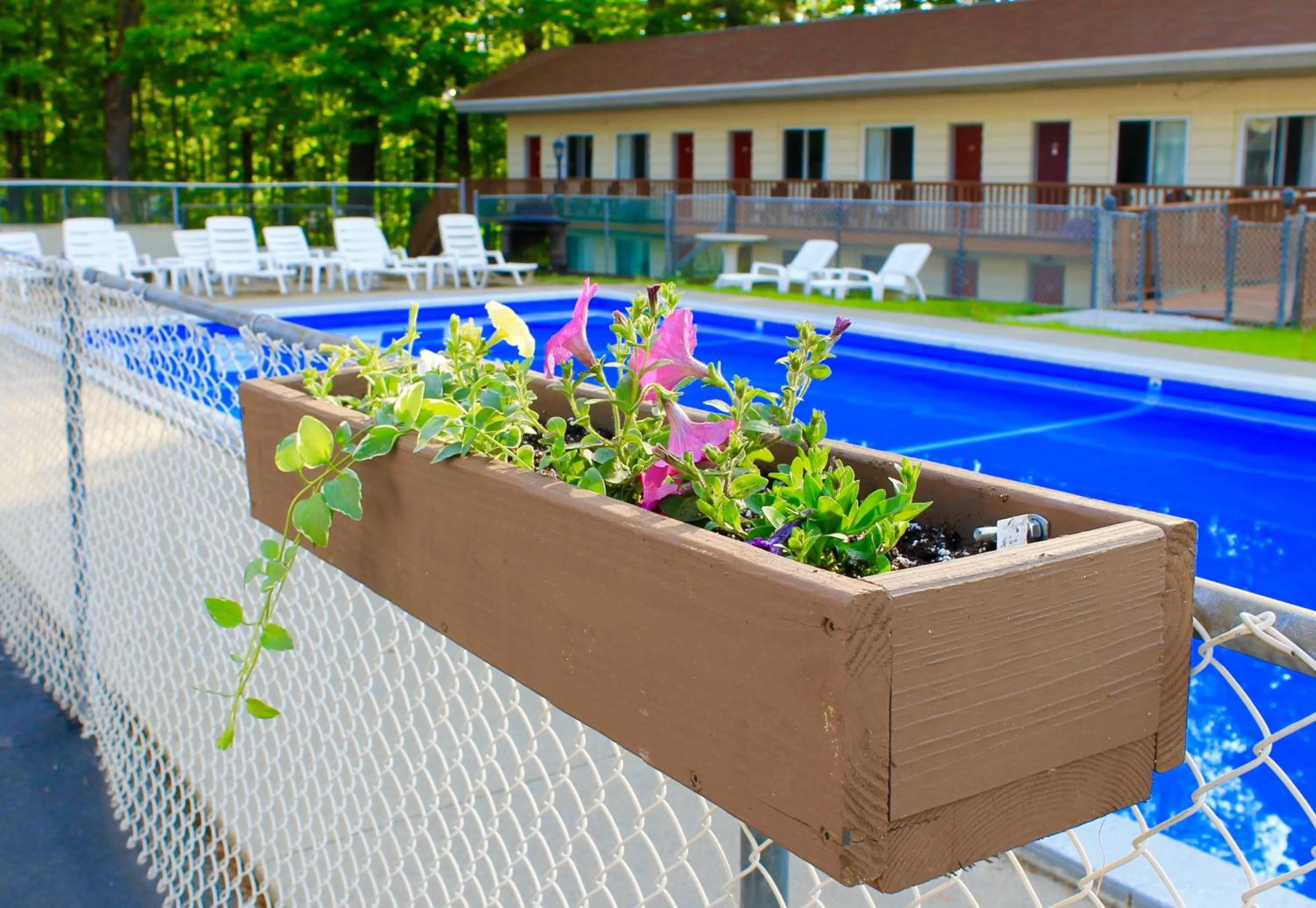 Activities in Motel Montreal