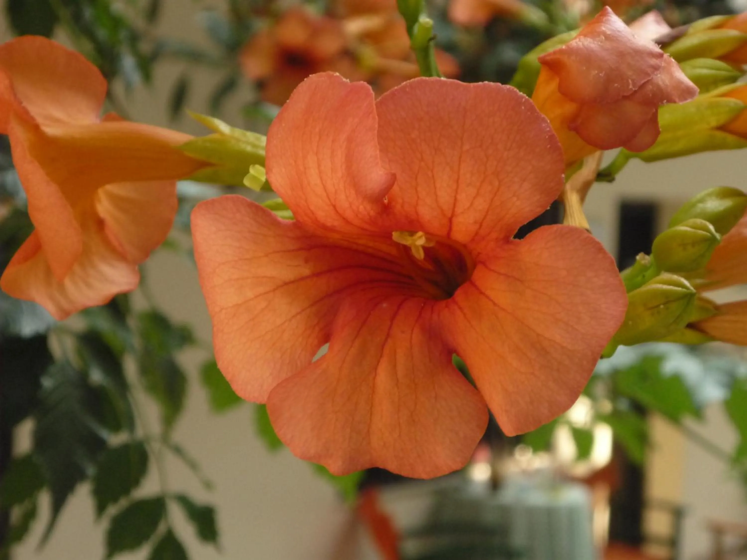 Other in Hotel Votsala