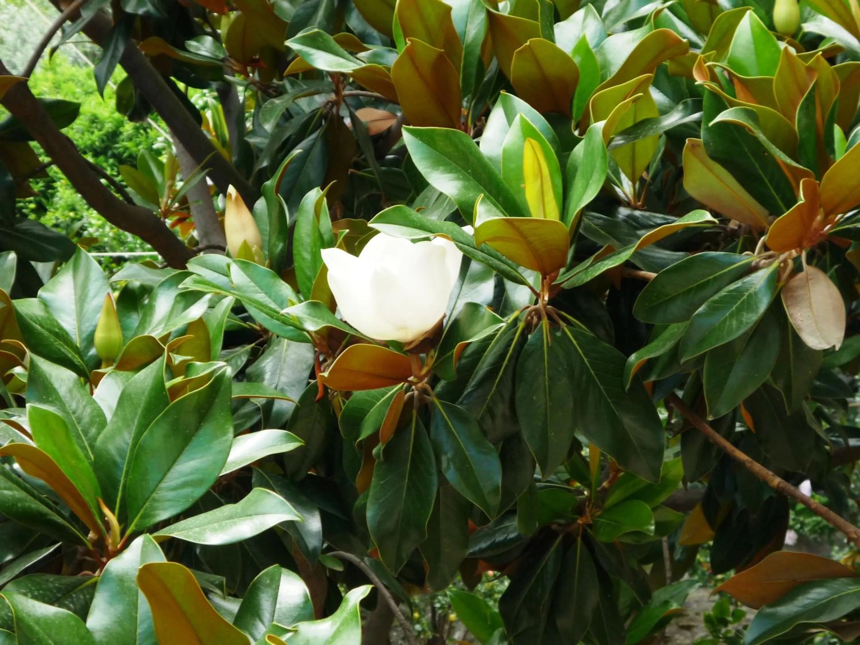 Other in Hotel Votsala