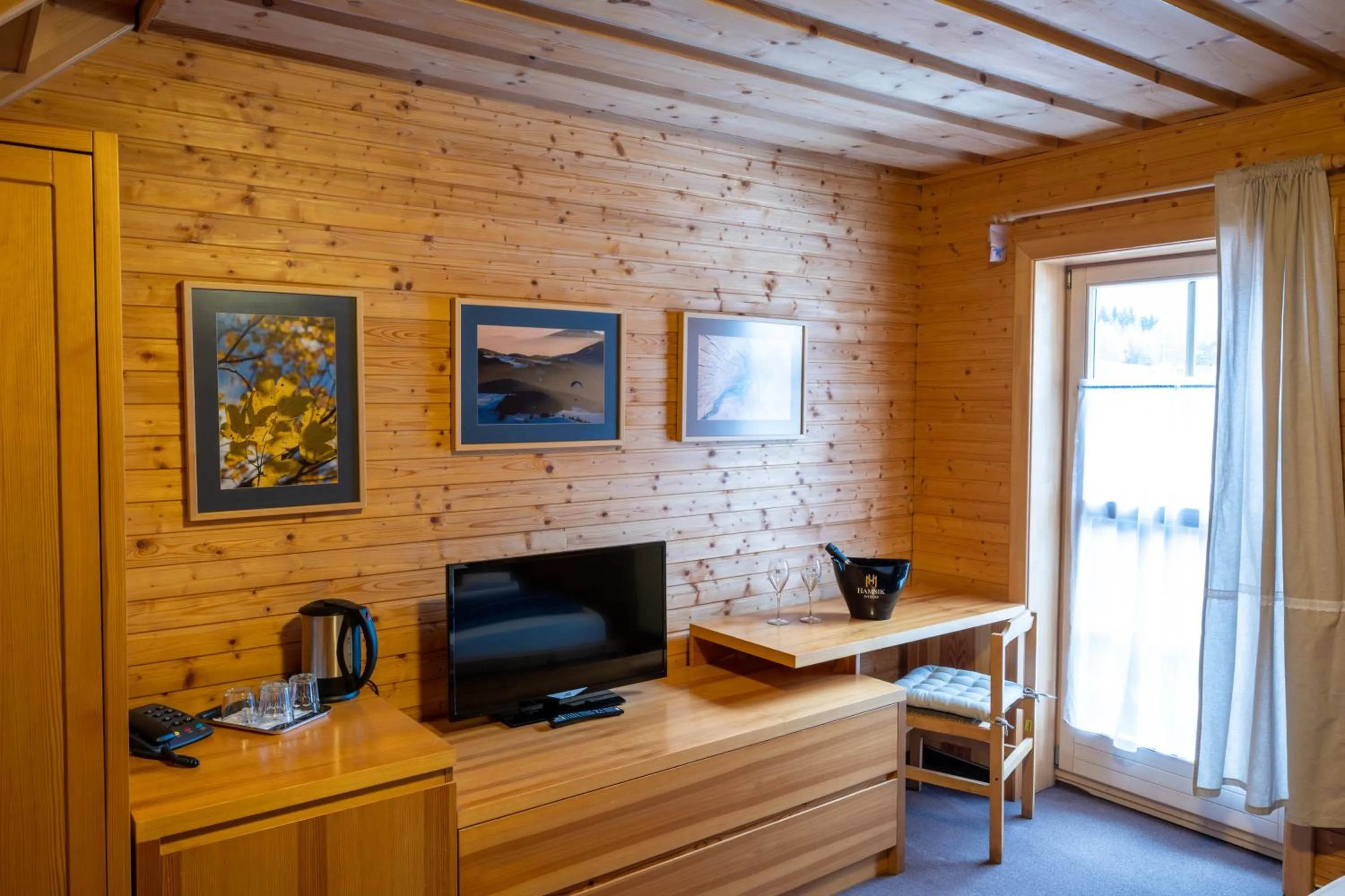 TV and multimedia in Penzion Damisport