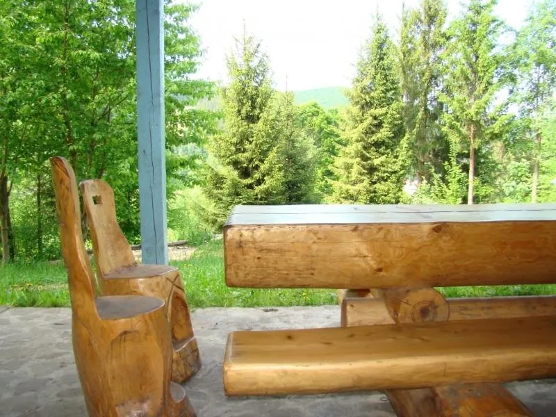 BBQ facilities in Șoaptele pădurii & Căsuța din pădure