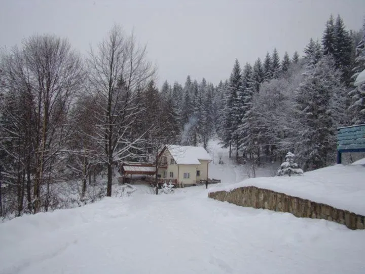 Winter in Șoaptele pădurii & Căsuța din pădure