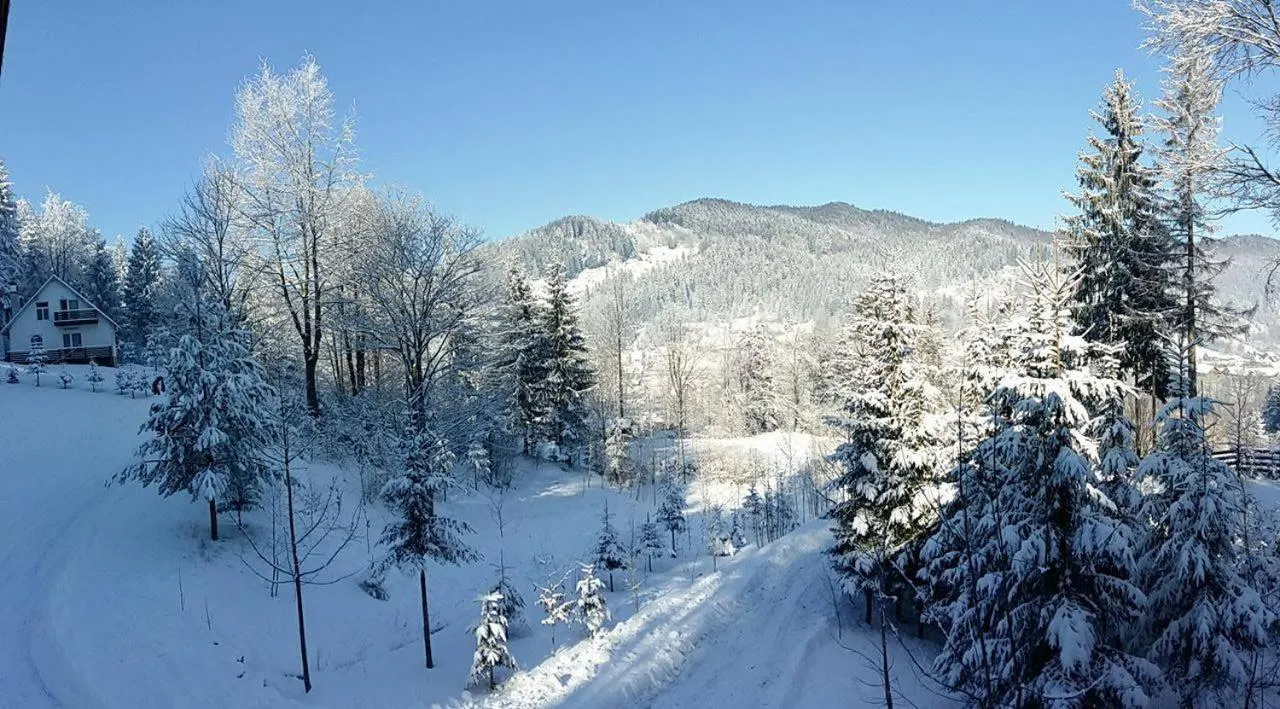 Day in Șoaptele pădurii & Căsuța din pădure