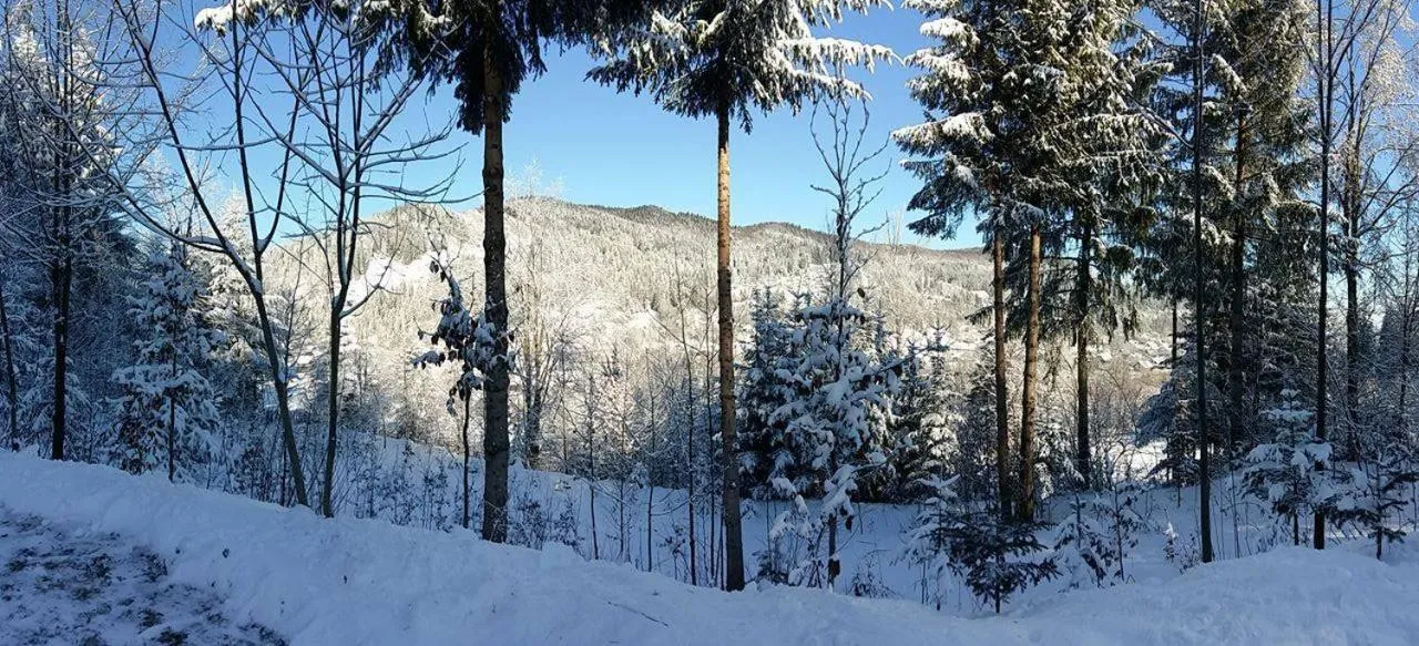 Day in Șoaptele pădurii & Căsuța din pădure