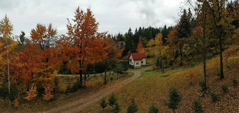 Autumn in Șoaptele pădurii & Căsuța din pădure